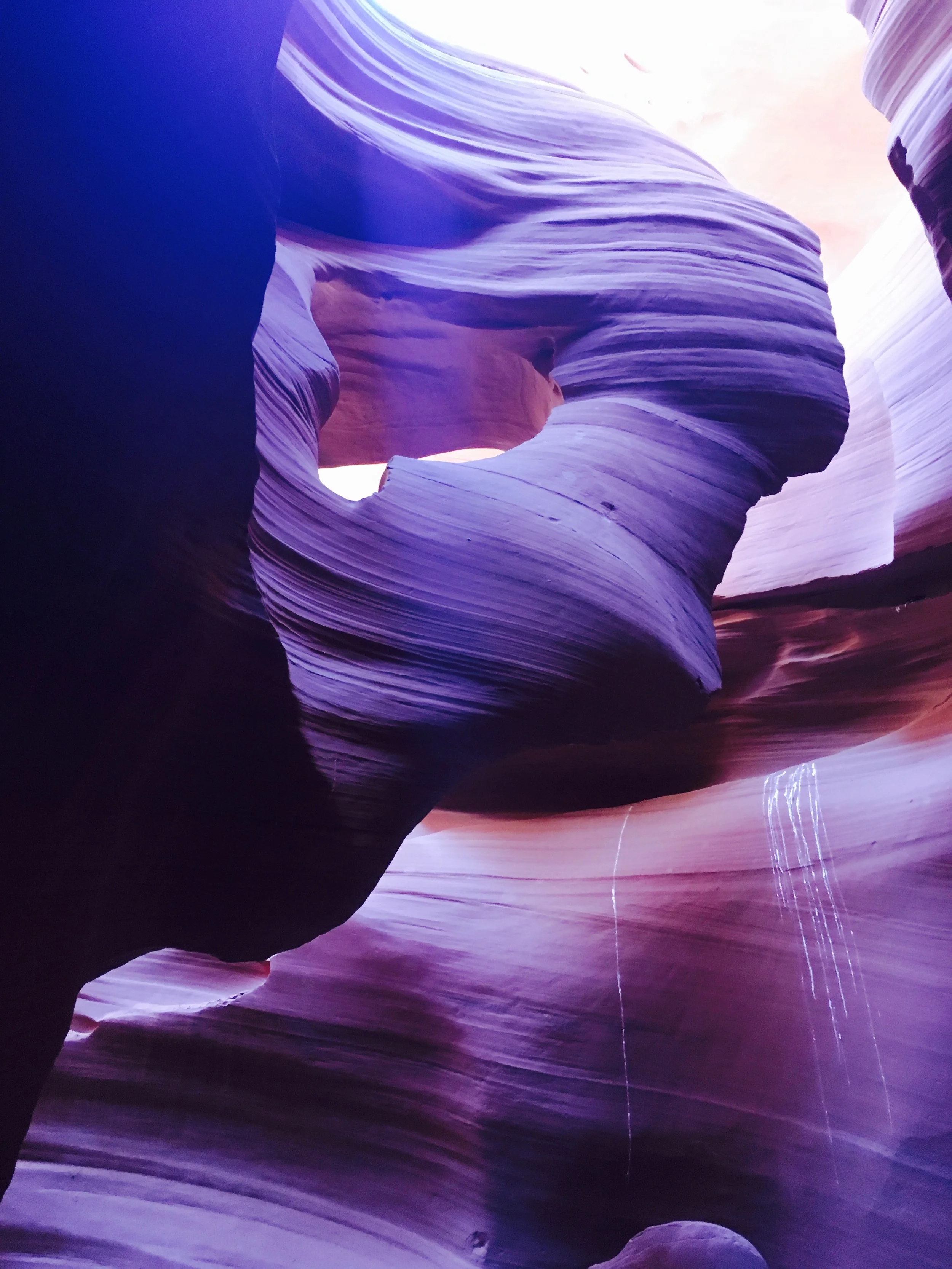 "Lady in the Wind."