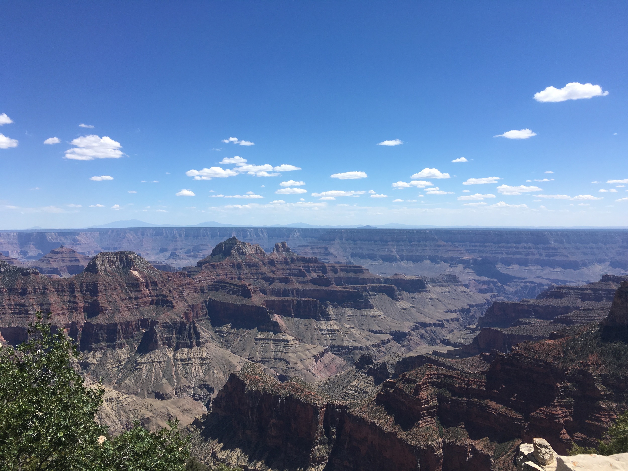 The view from Bright Angel Point, a 0.5 mile walk from the lodge.