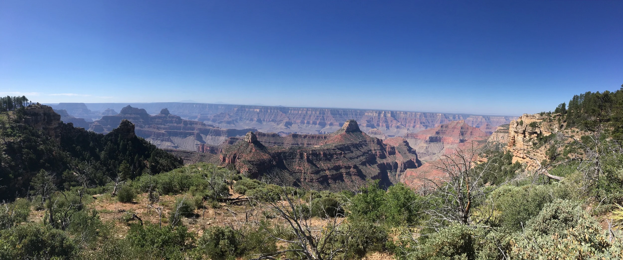 The panoramic view from Widfross Point.