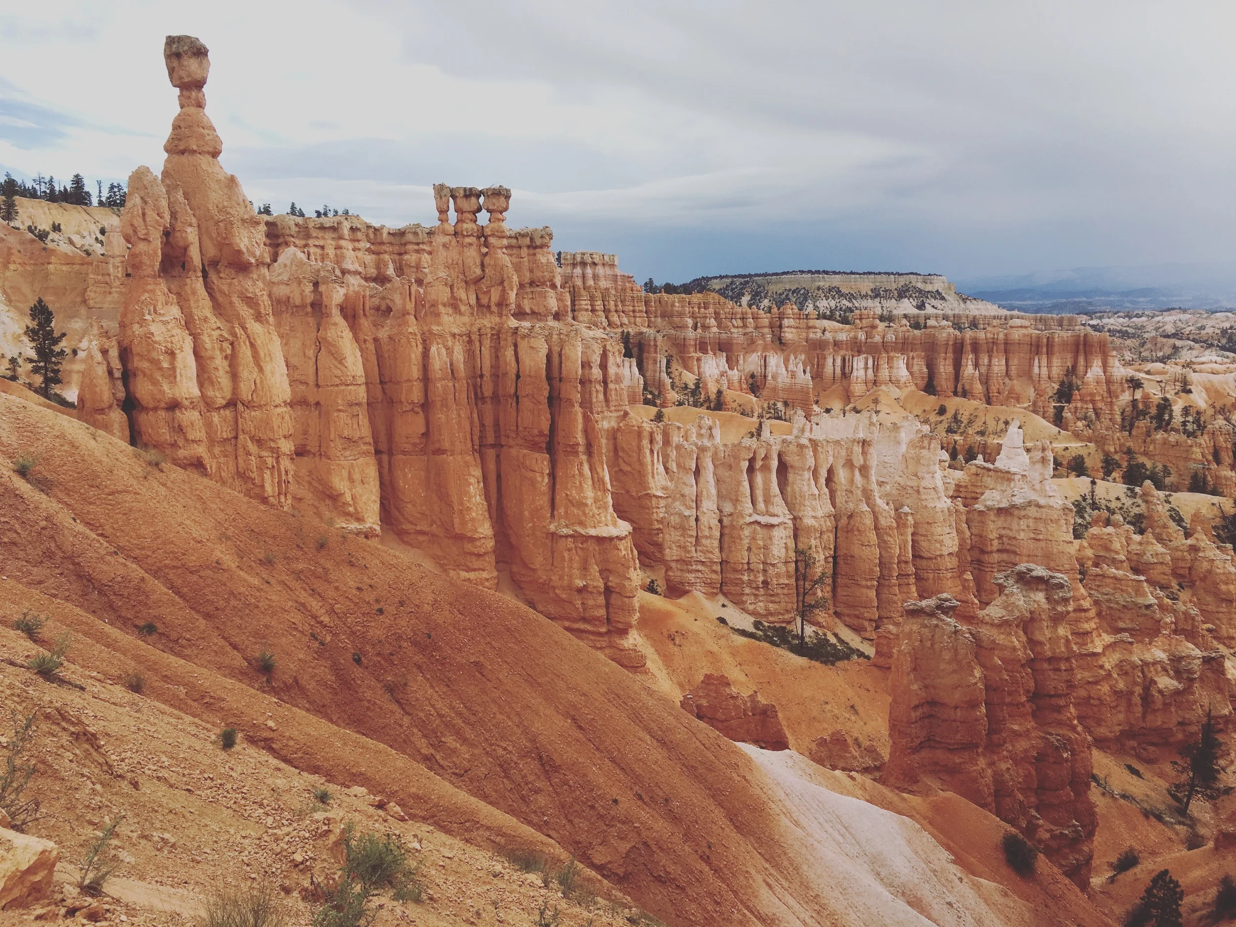 Bryce became one of our favorites.