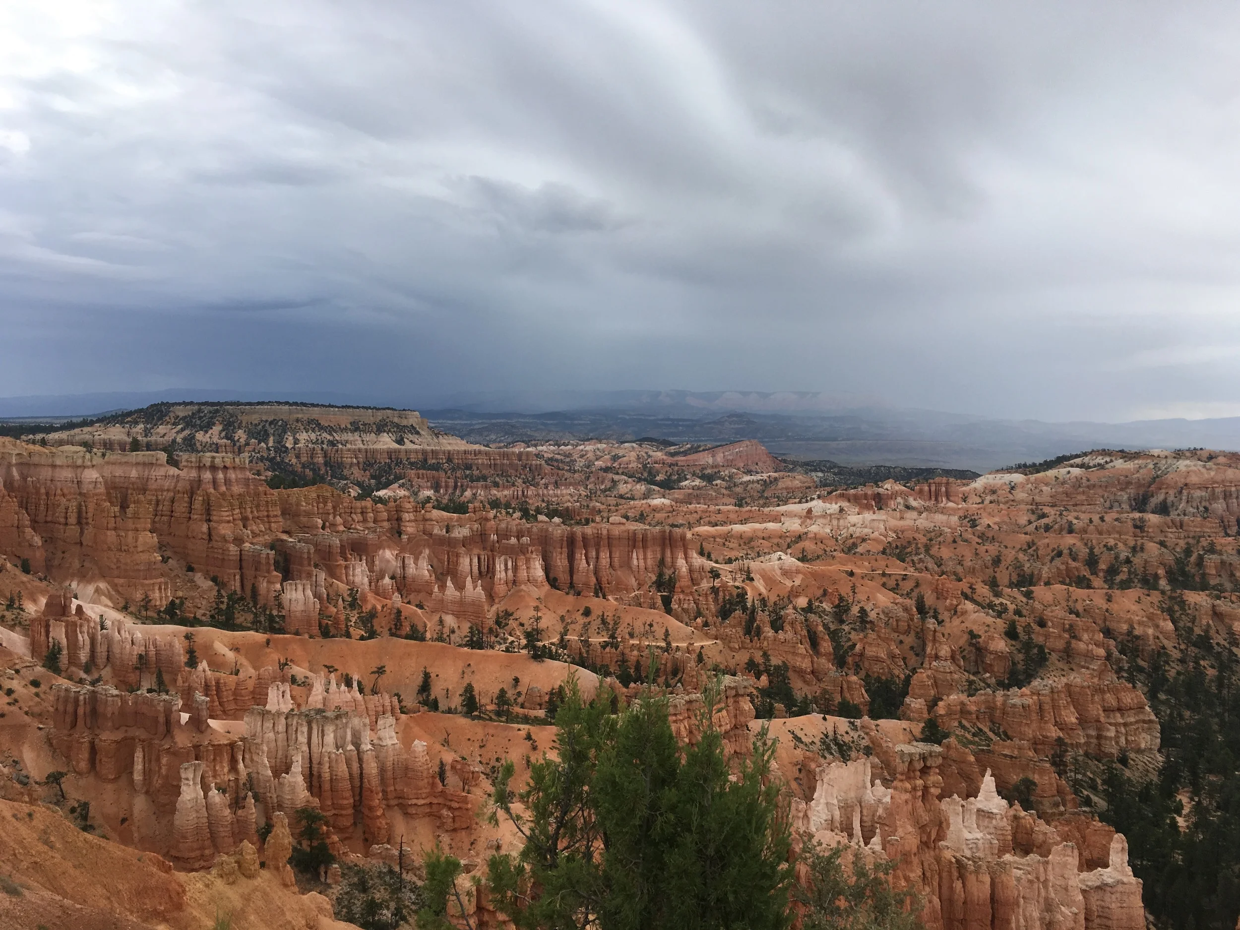 The dark skies made for a dramatic contrast.