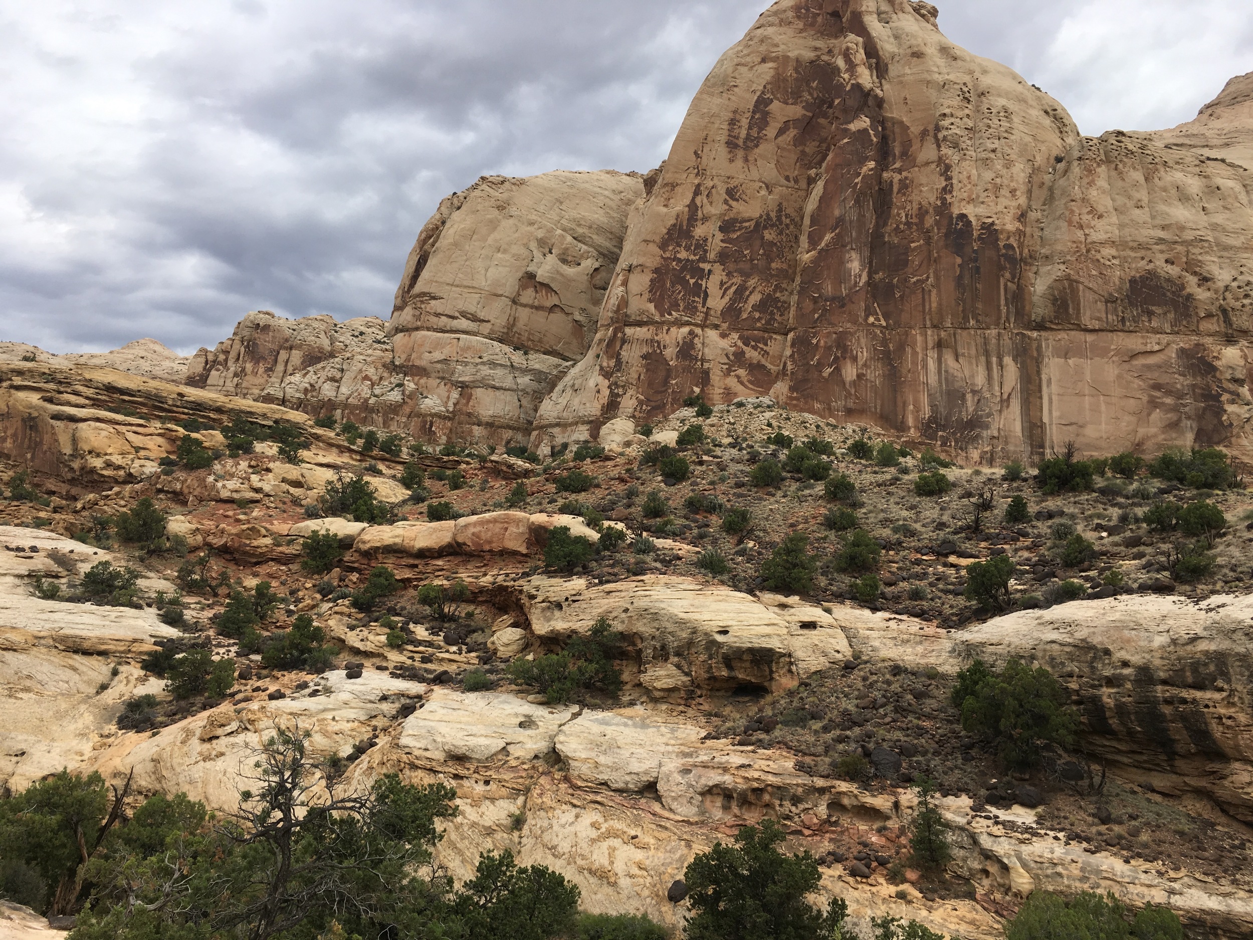 Geology at Capitol Reef