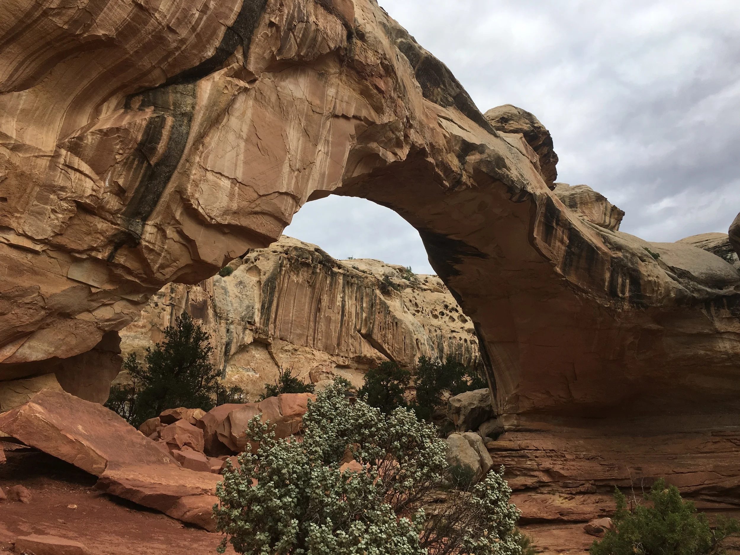 We crossed this threshold, a nearly perfect arc, a doorway to the desert.