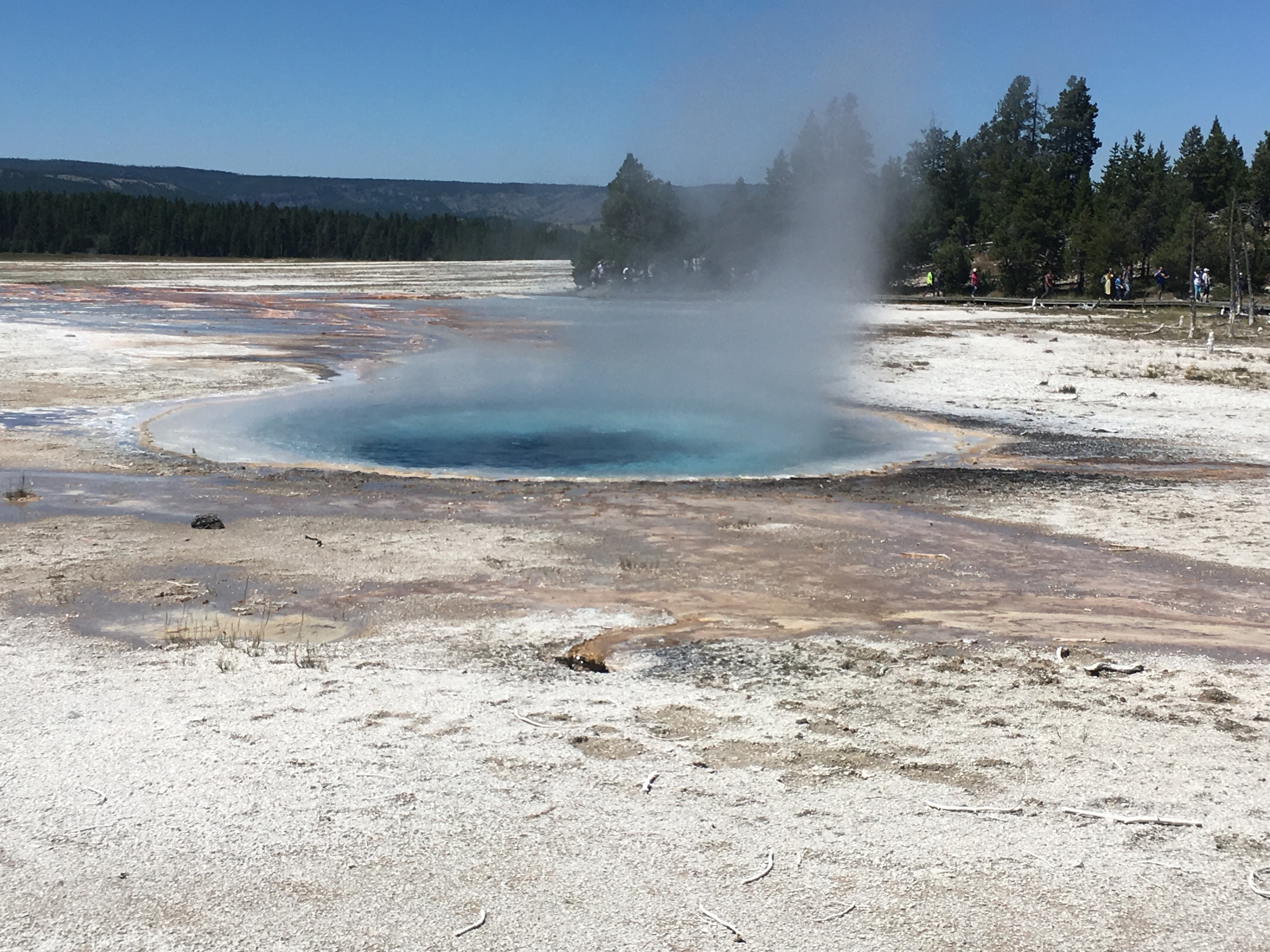 Steam rises at Lower Geyser Basin