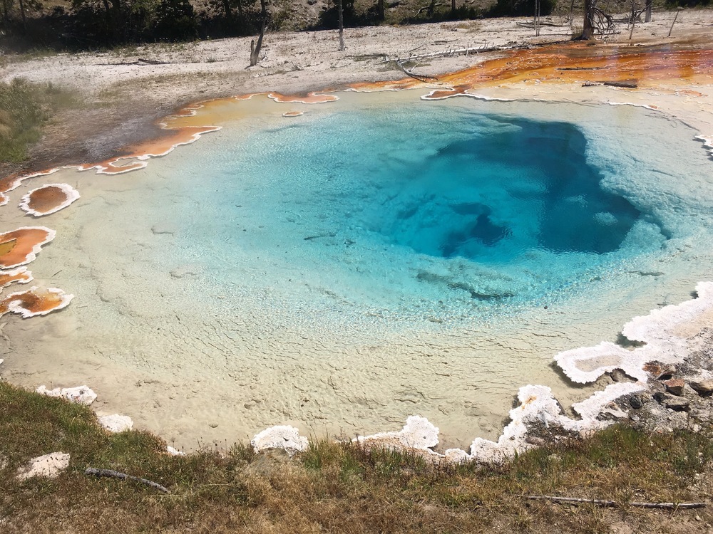 Lower Geyser Basin. I like to call this one "the bluest eye."