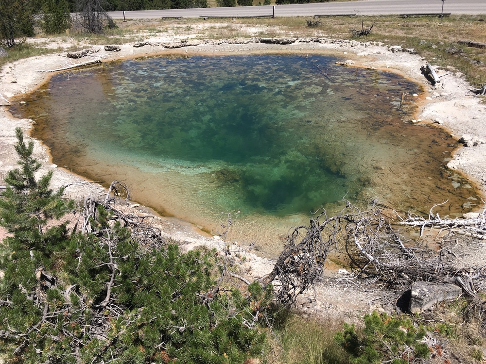 Lower Geyser Basin, showing emerald color, in contrast to the turquoise of the other pools