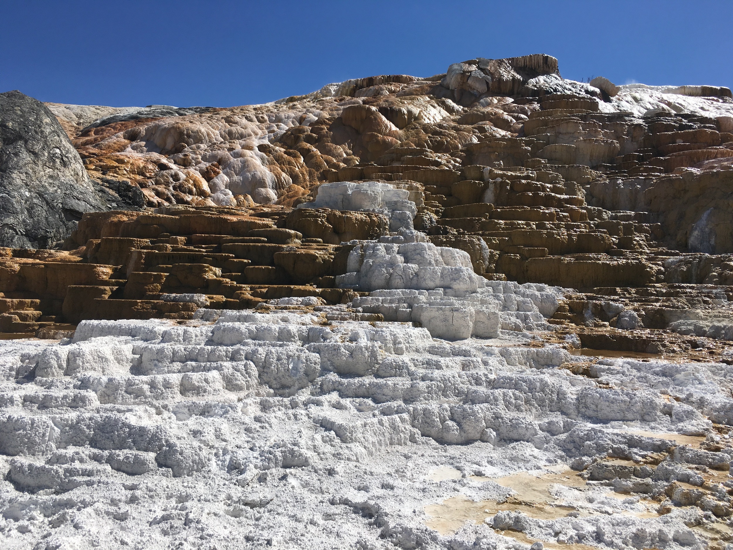 Mammoth Hot Springs