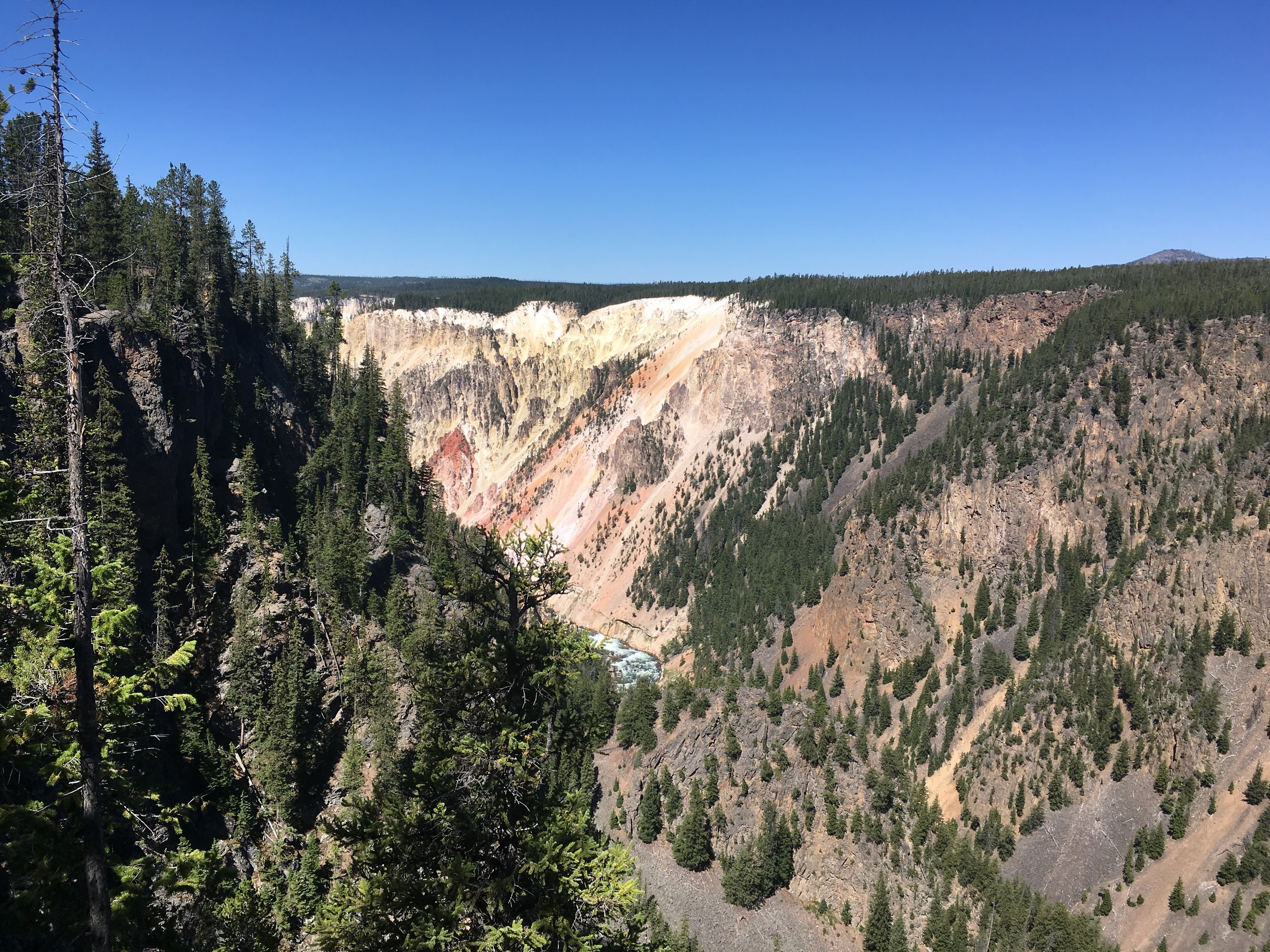 A glimpse of the Grand Canyon of the Yellowstone