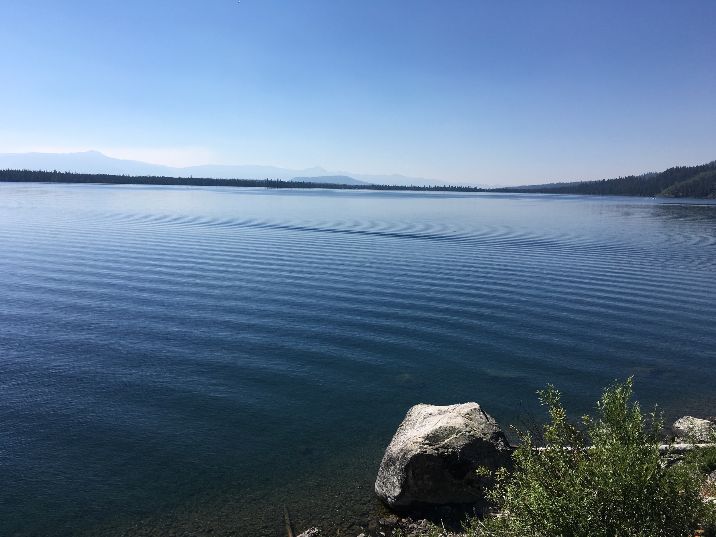 Peaceful waters at Jenny Lake