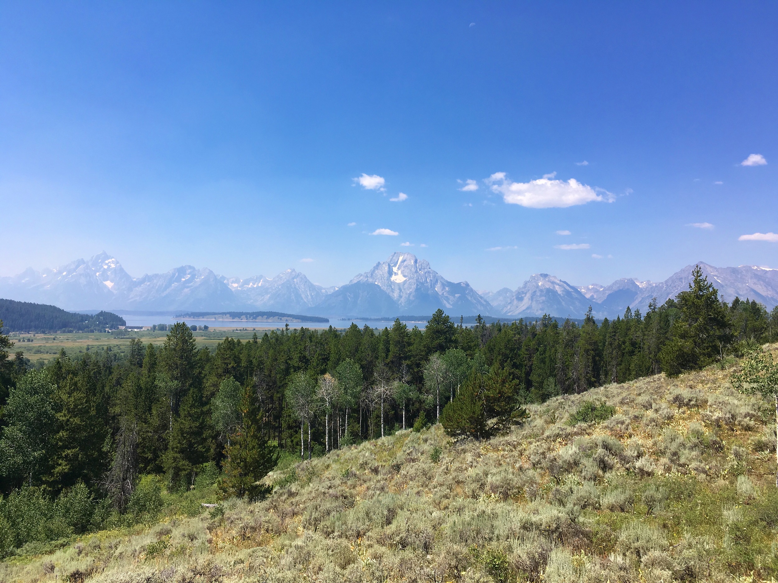 View from Christian Ponds Trail