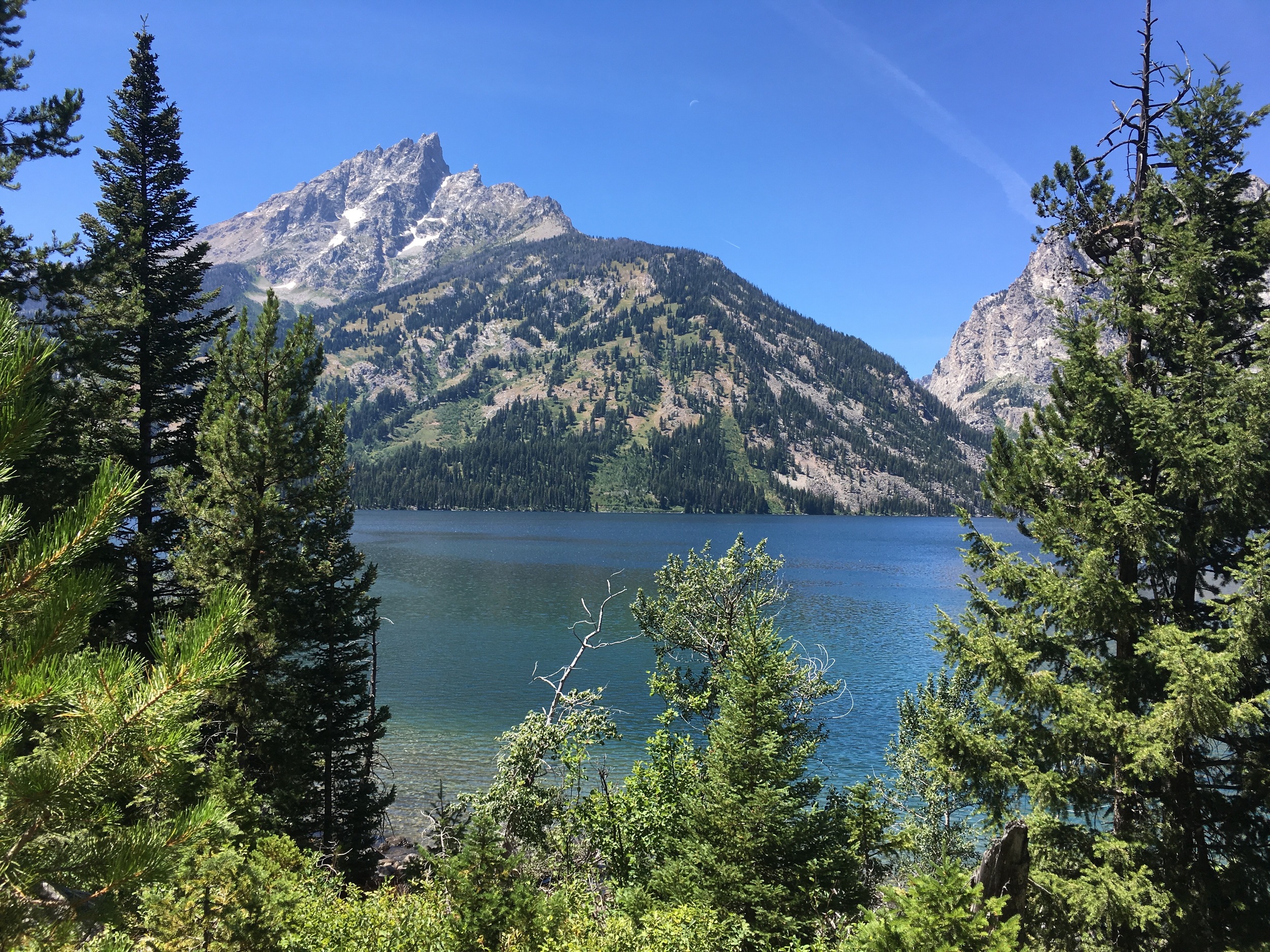 View from Jenny Lake hike.