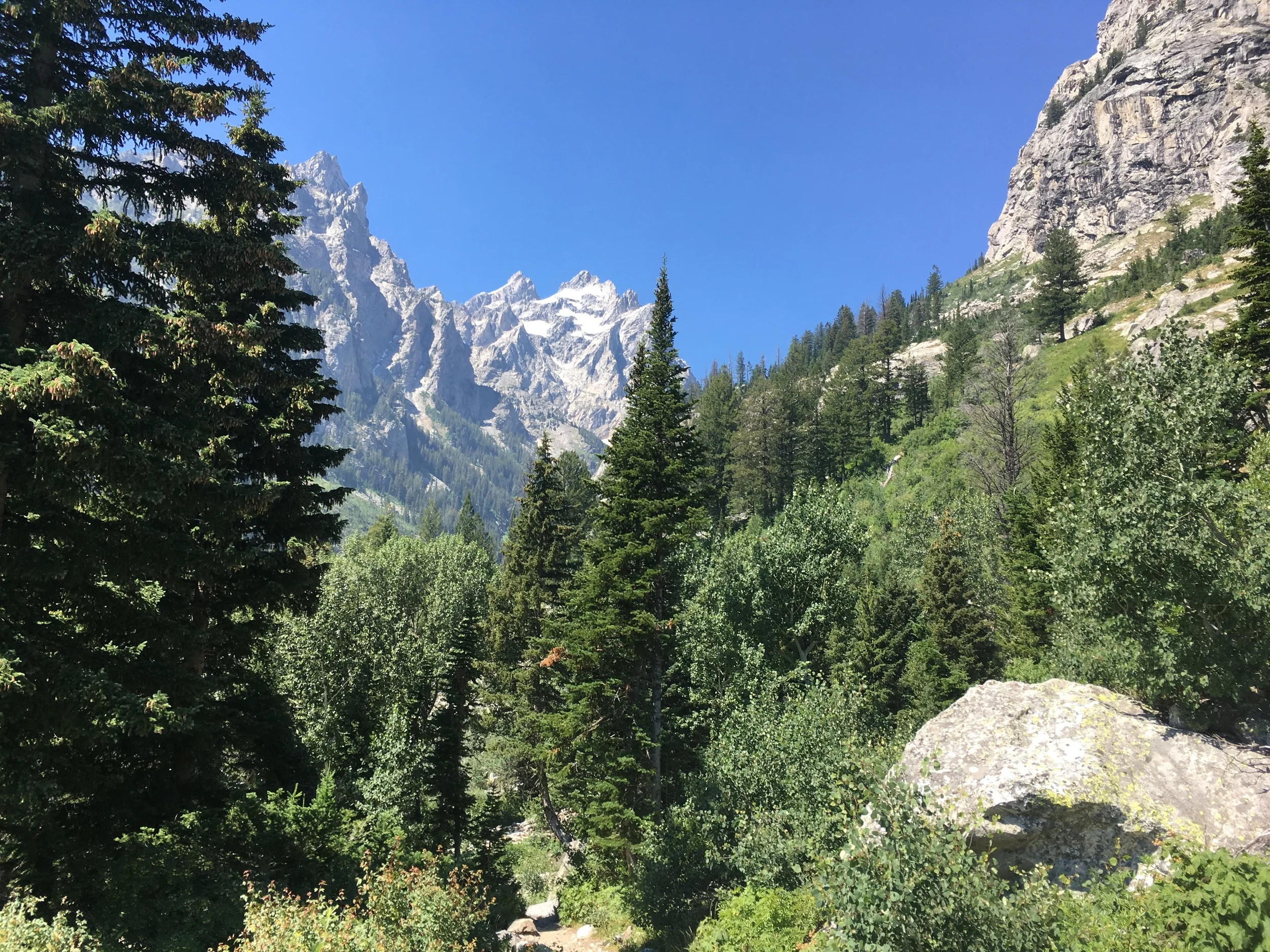 Looking up Cascade Canyon