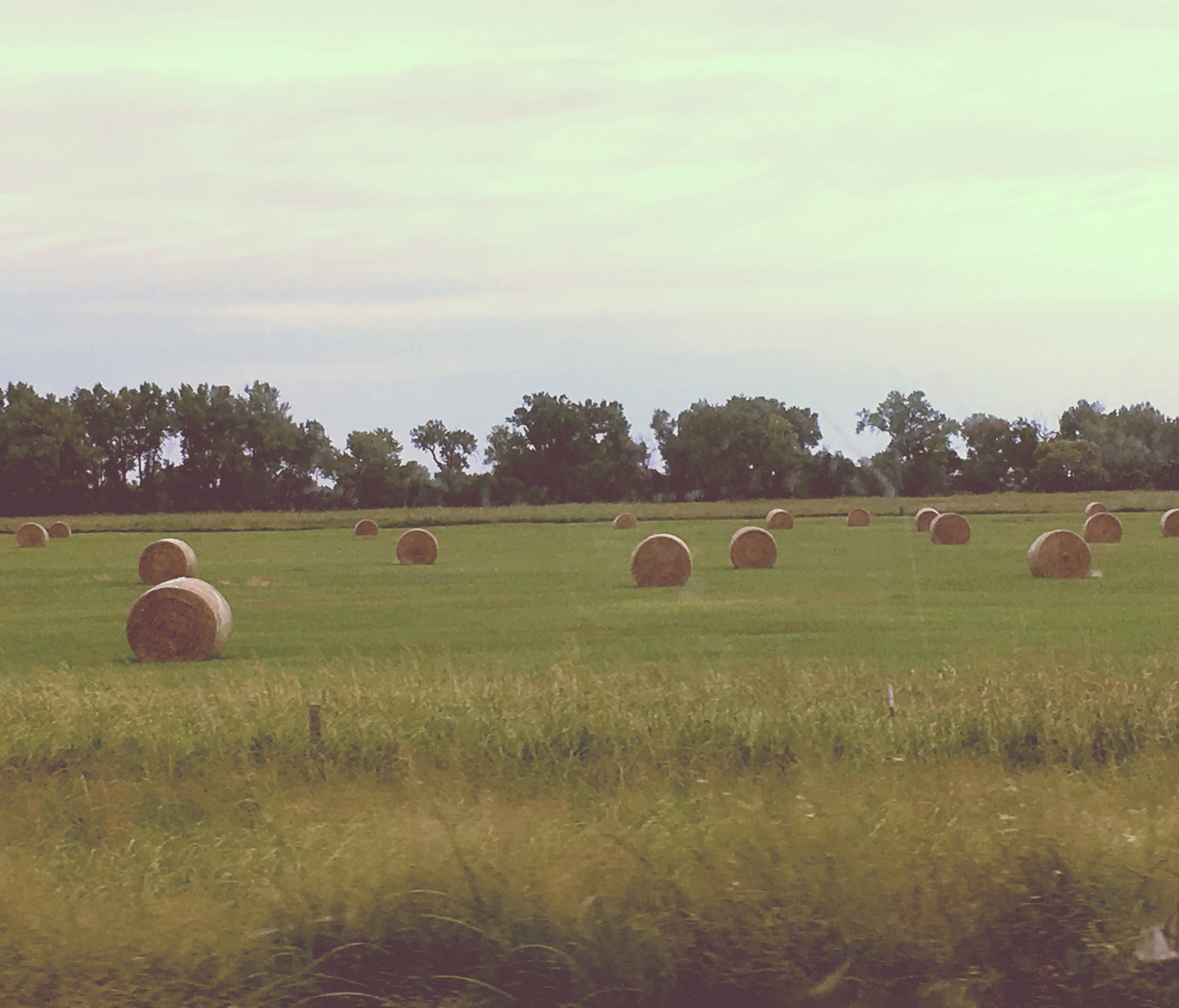 Hay fields in Nebraska, "The Good Life."