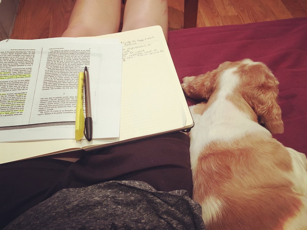 Franklin makes a good study buddy