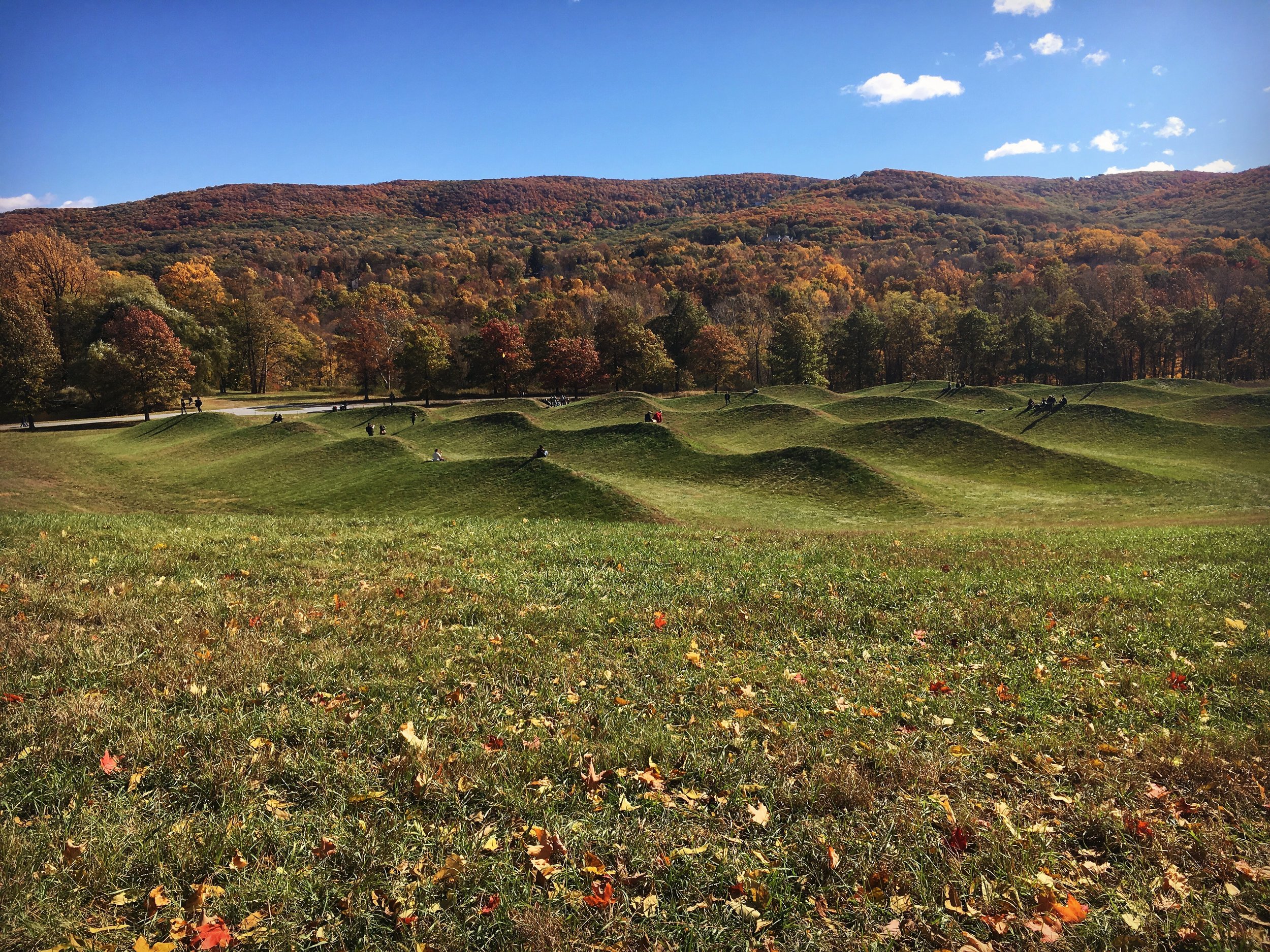 Storm King foliage.