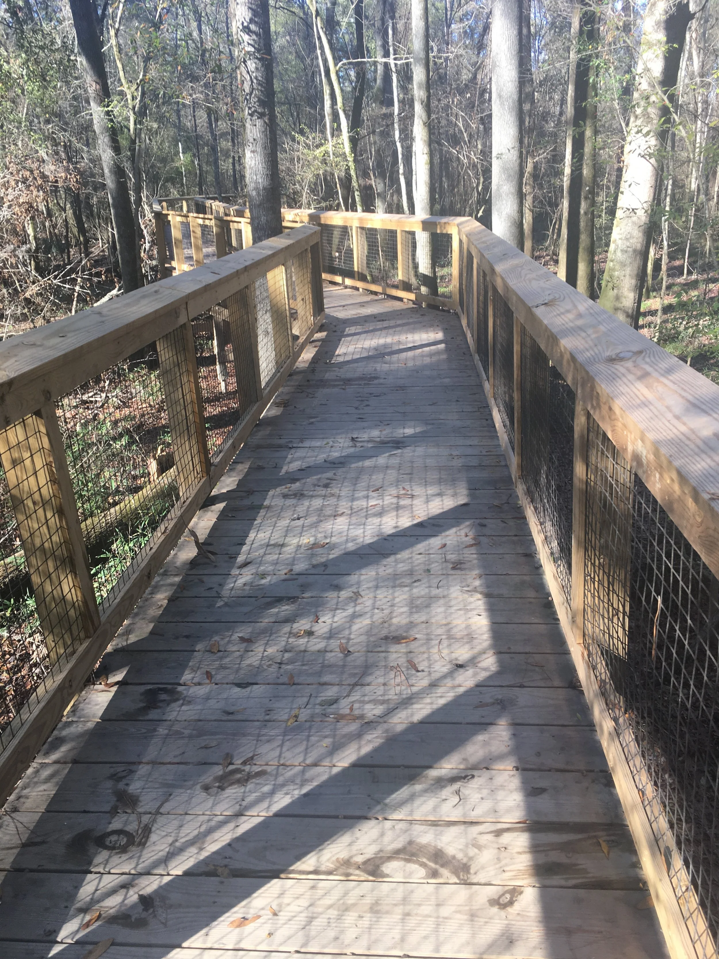 Elevated boardwalk.