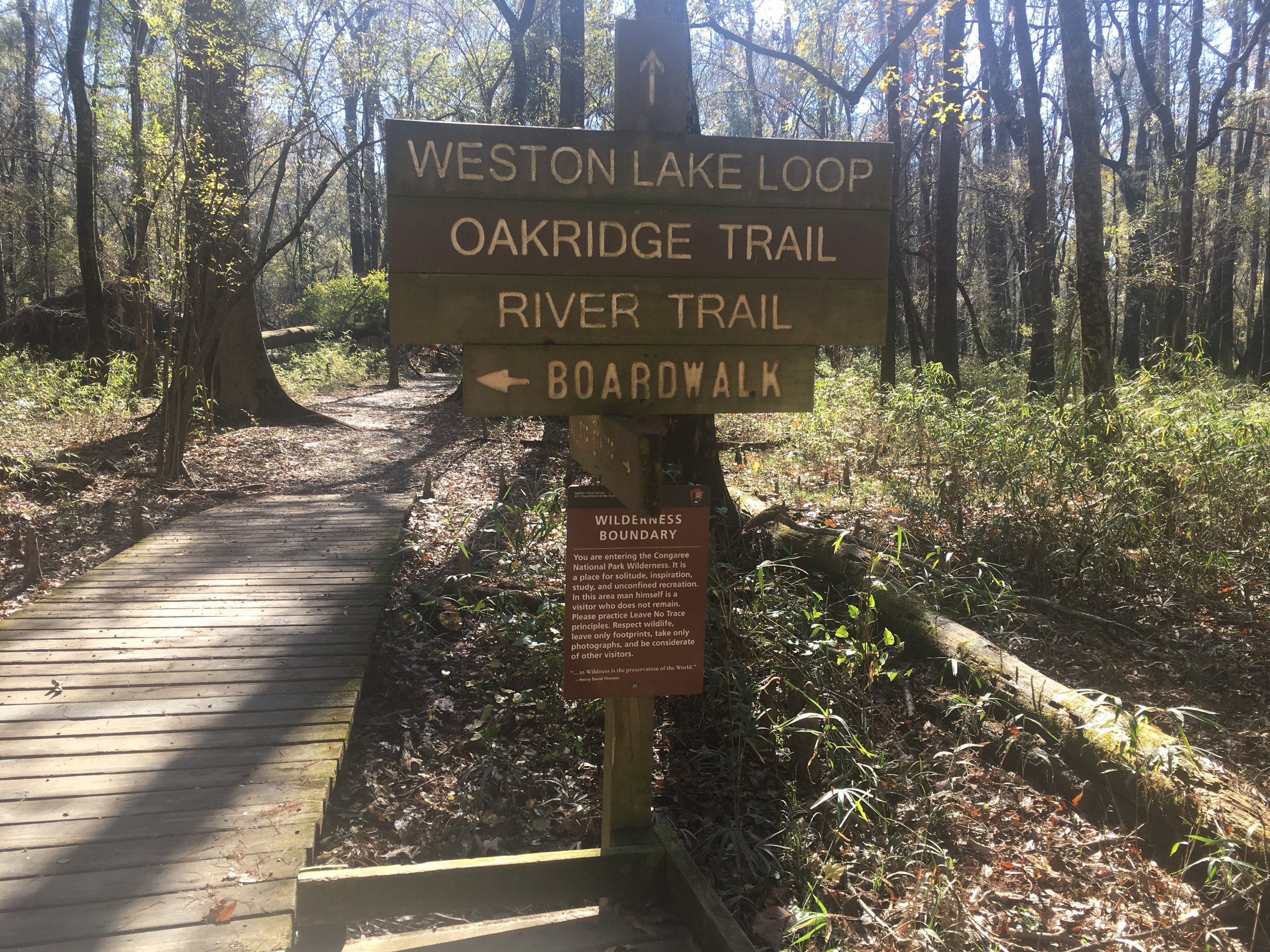 Into the wilderness.