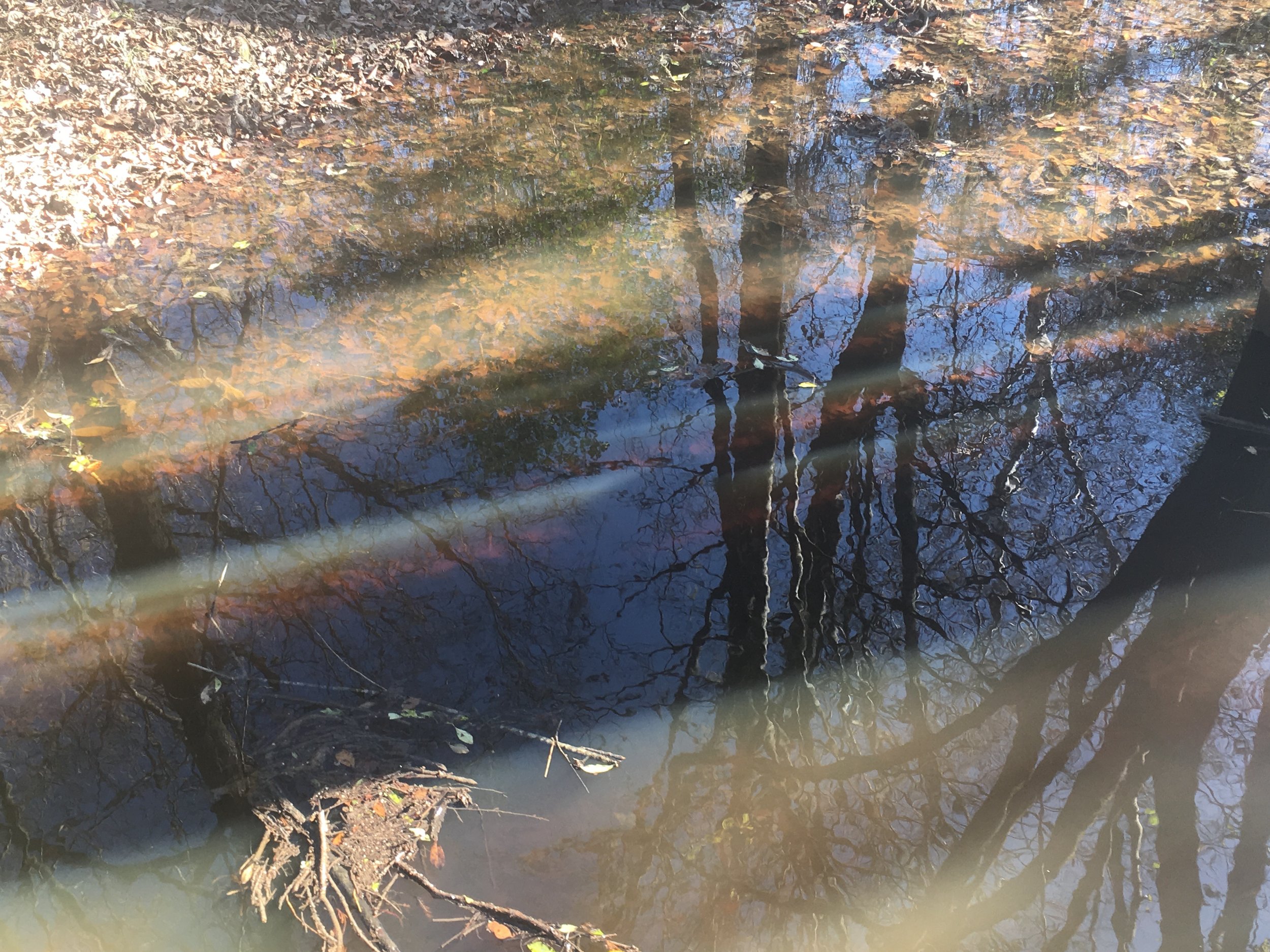 Solstice shadows.