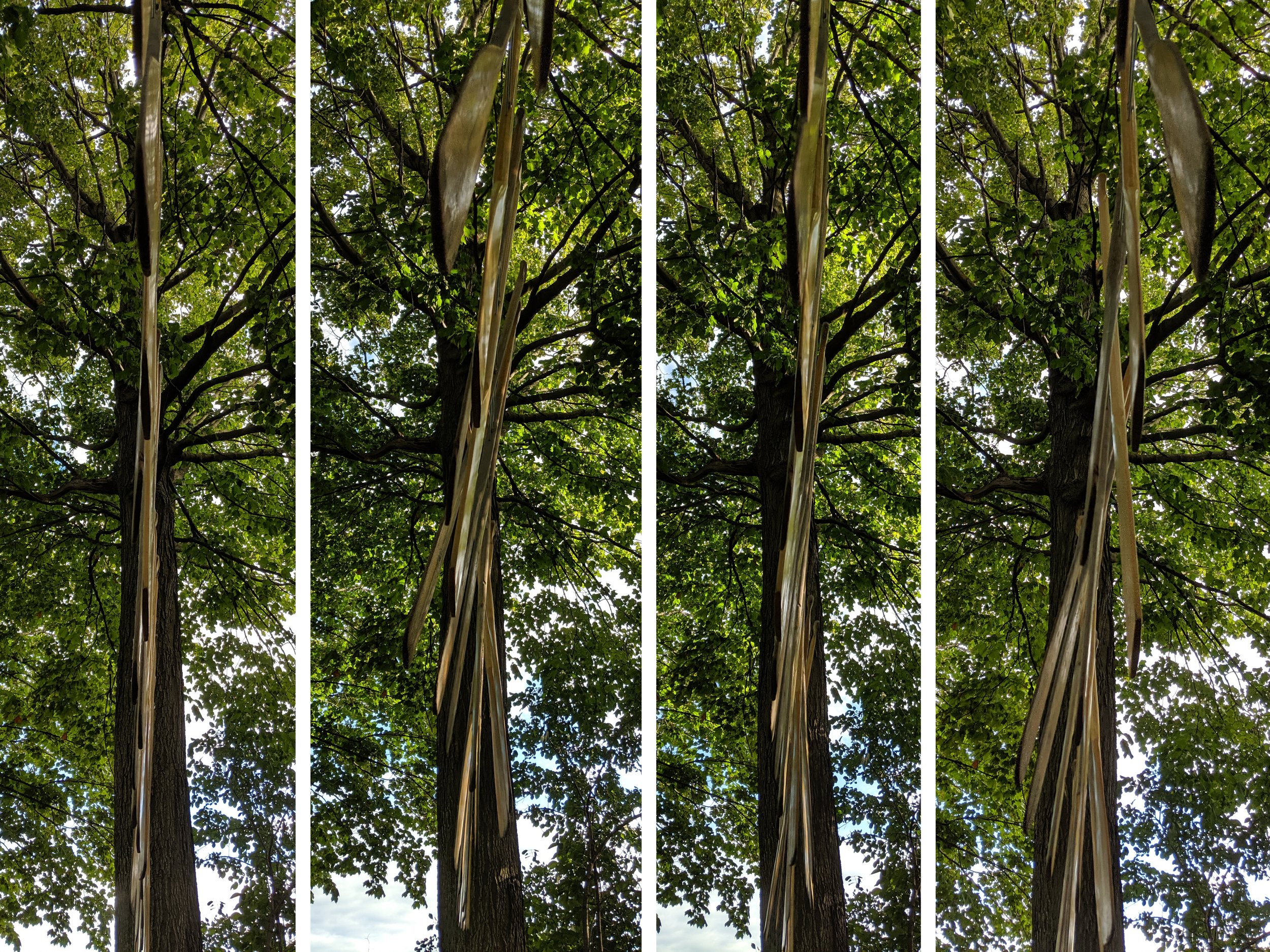 Row by Row Composite Wave Motion.jpg
