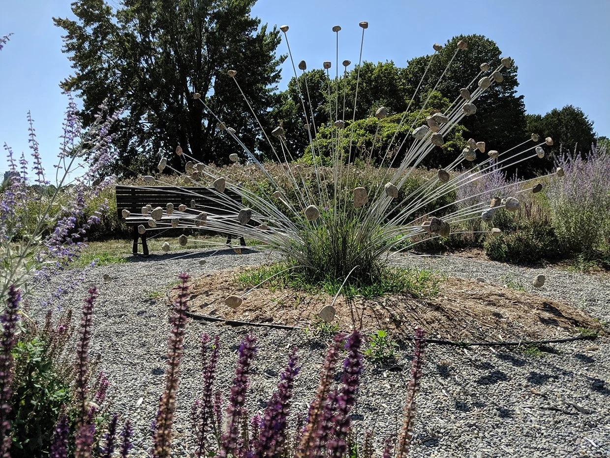 Erratic Grass.jpg