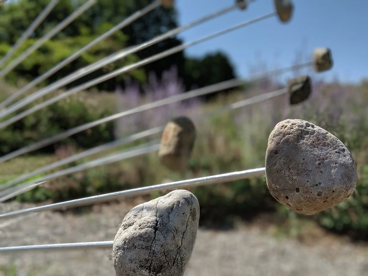 Erratic Grass Detail.jpg
