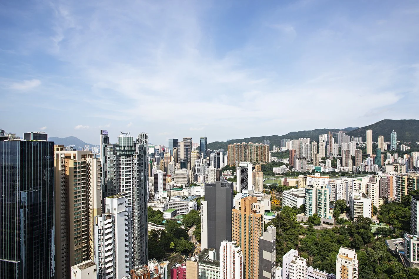 Bamboo Grove, View1.jpg
