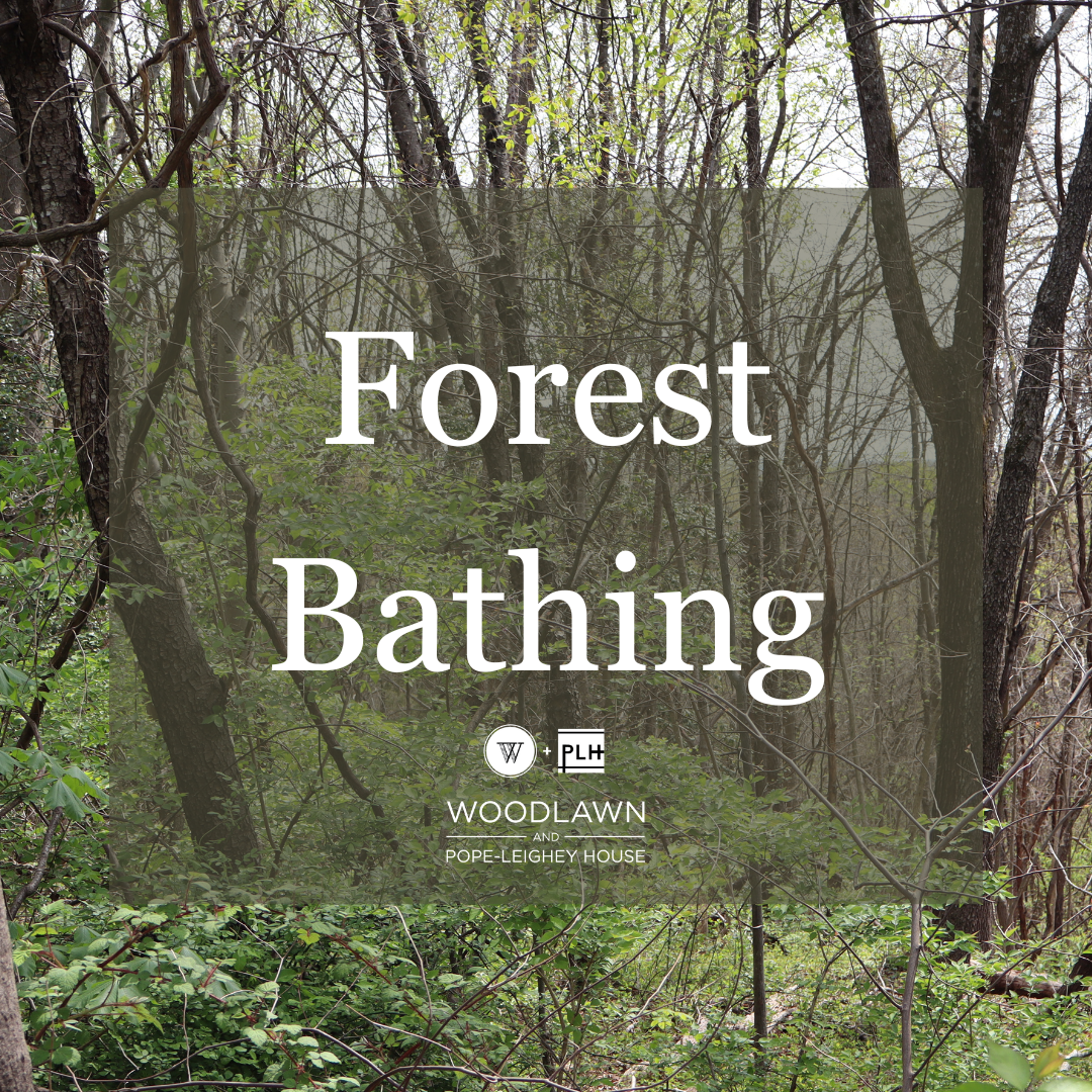 December 3rd at 1030 am and 200 pm (1).png