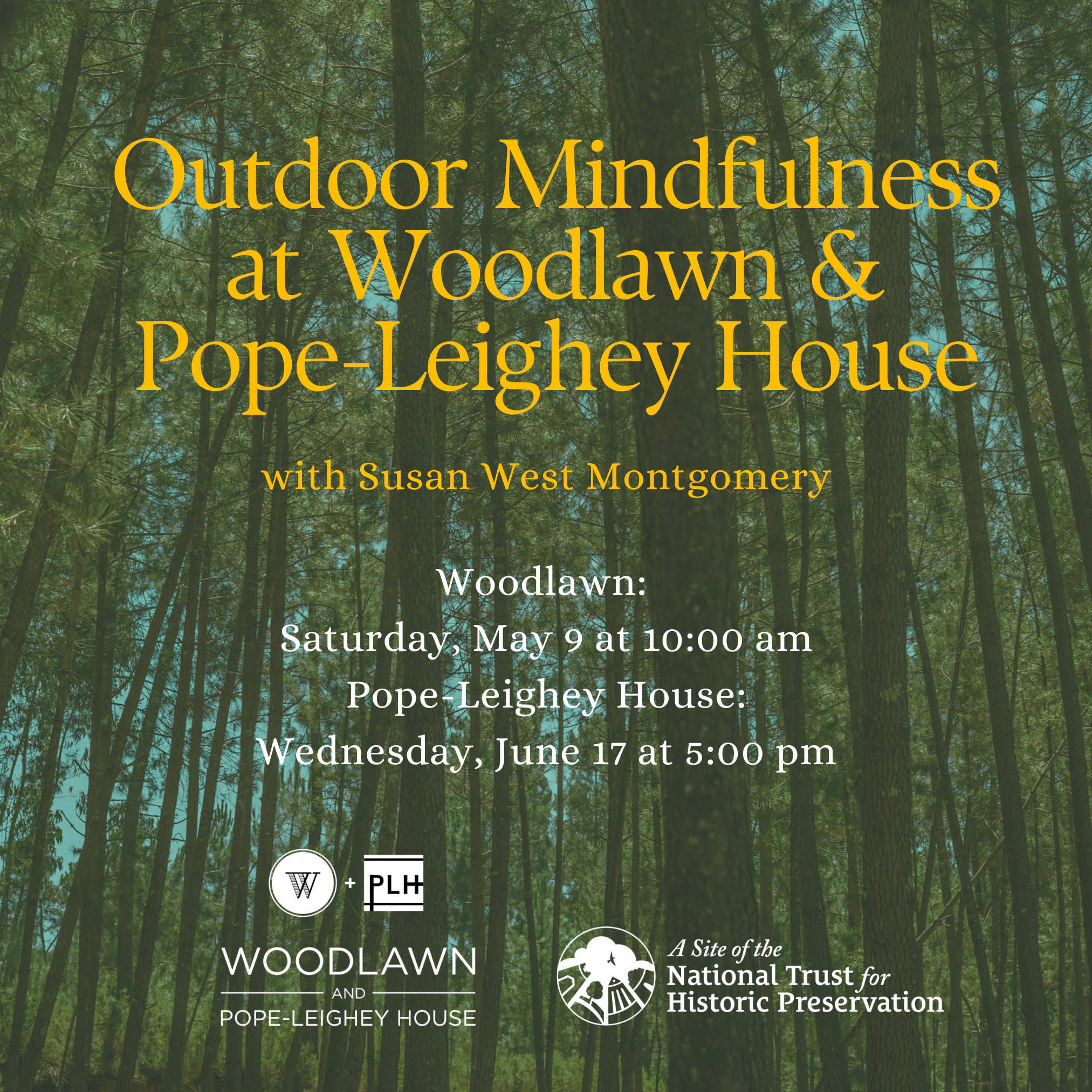 Green Aesthetic Healing in Nature Instagram Carousel Posts (Instagram Post).png