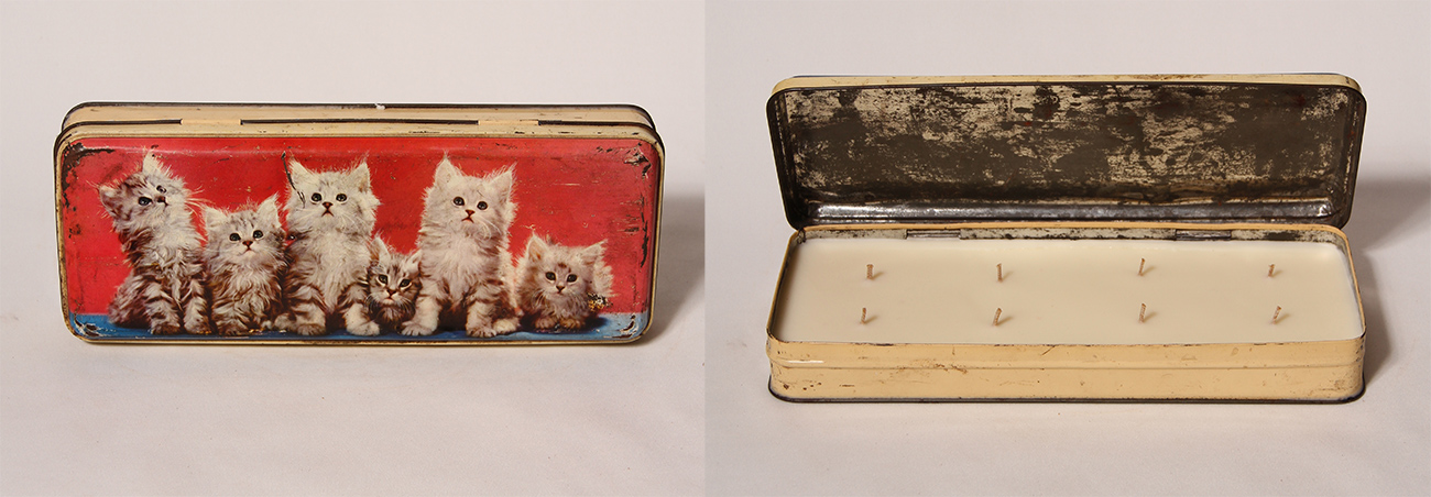 KITTENS-2.jpg