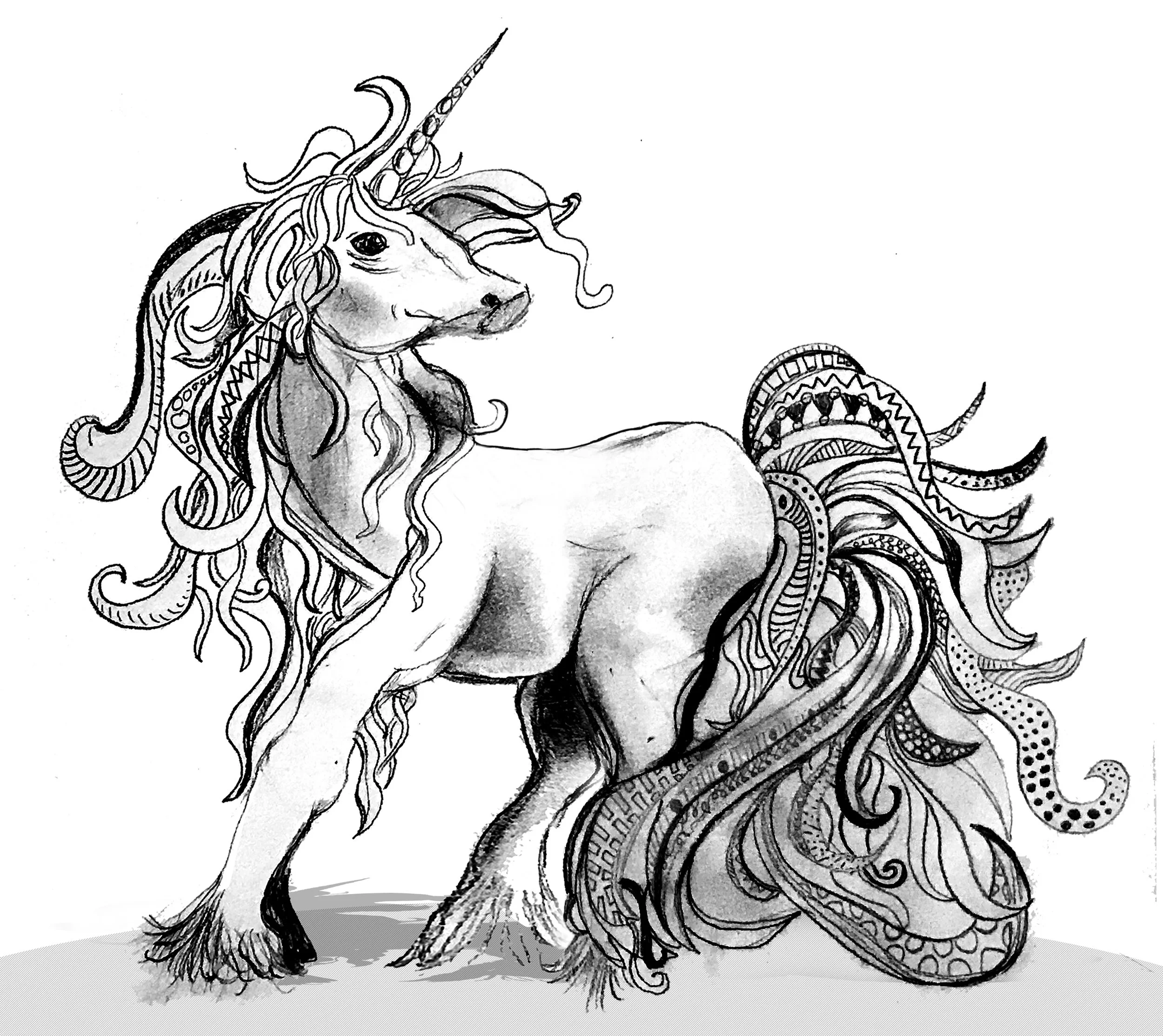 JCM_Unicorn_Sketch 10x8.jpg