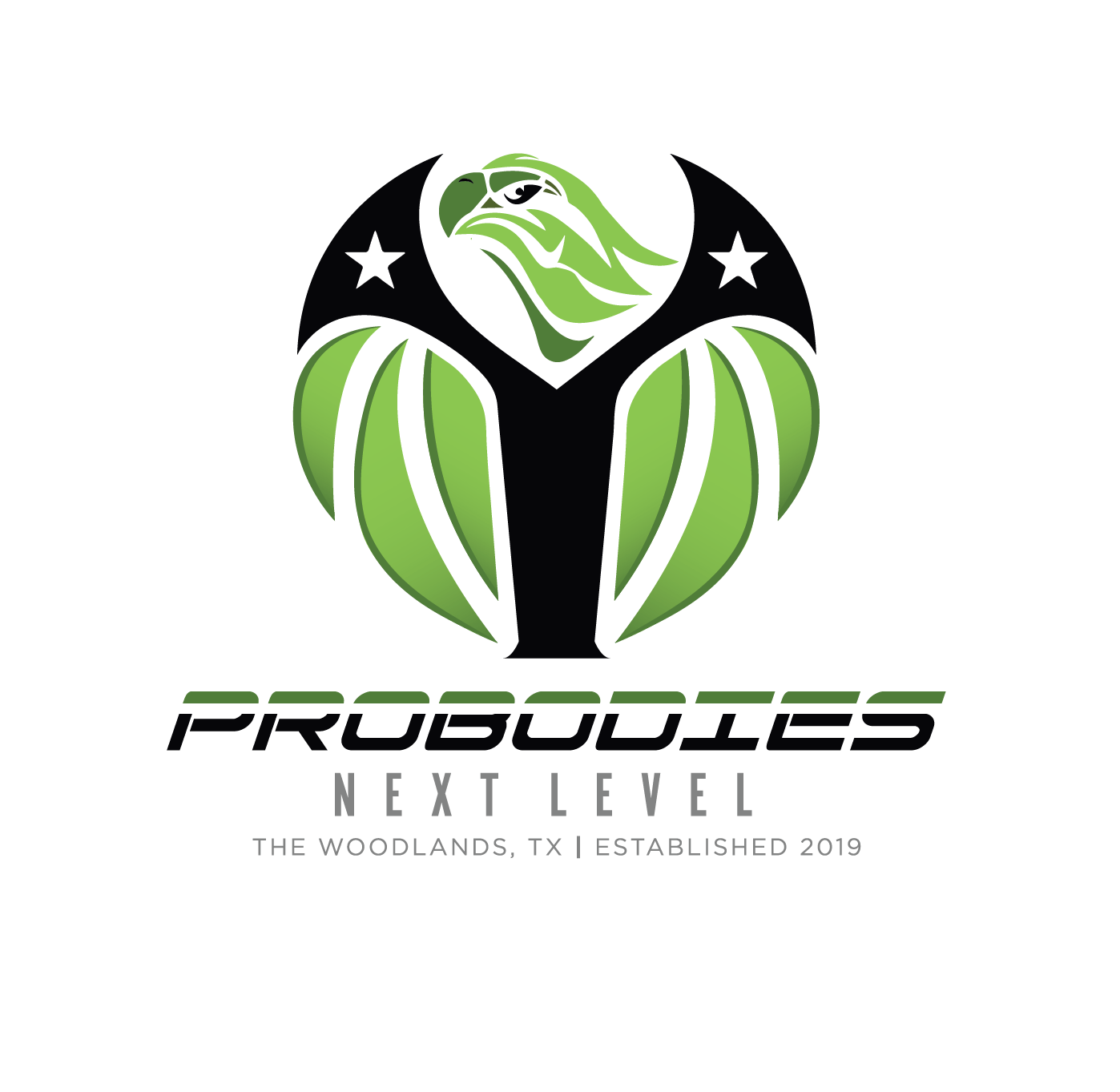 PNL_Final_Color_MasterLogo-01.png
