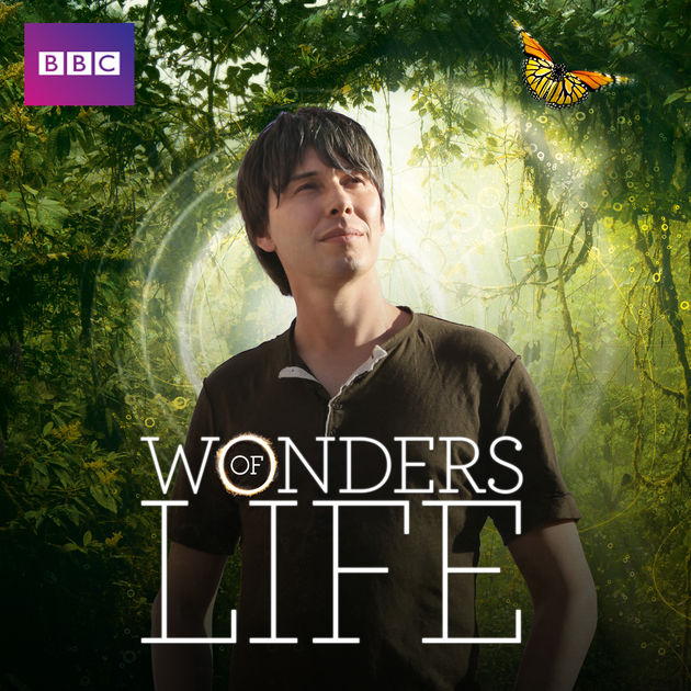 wonders of life.jpg