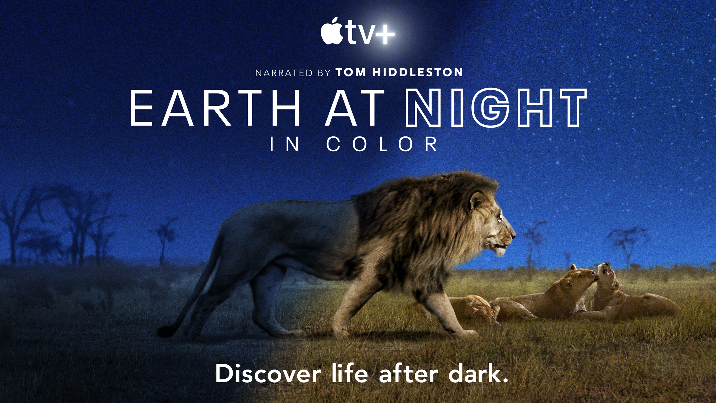 Apple TV+ Earth In Colour spectacular launches today, creative direction by Hugh Ballantyne