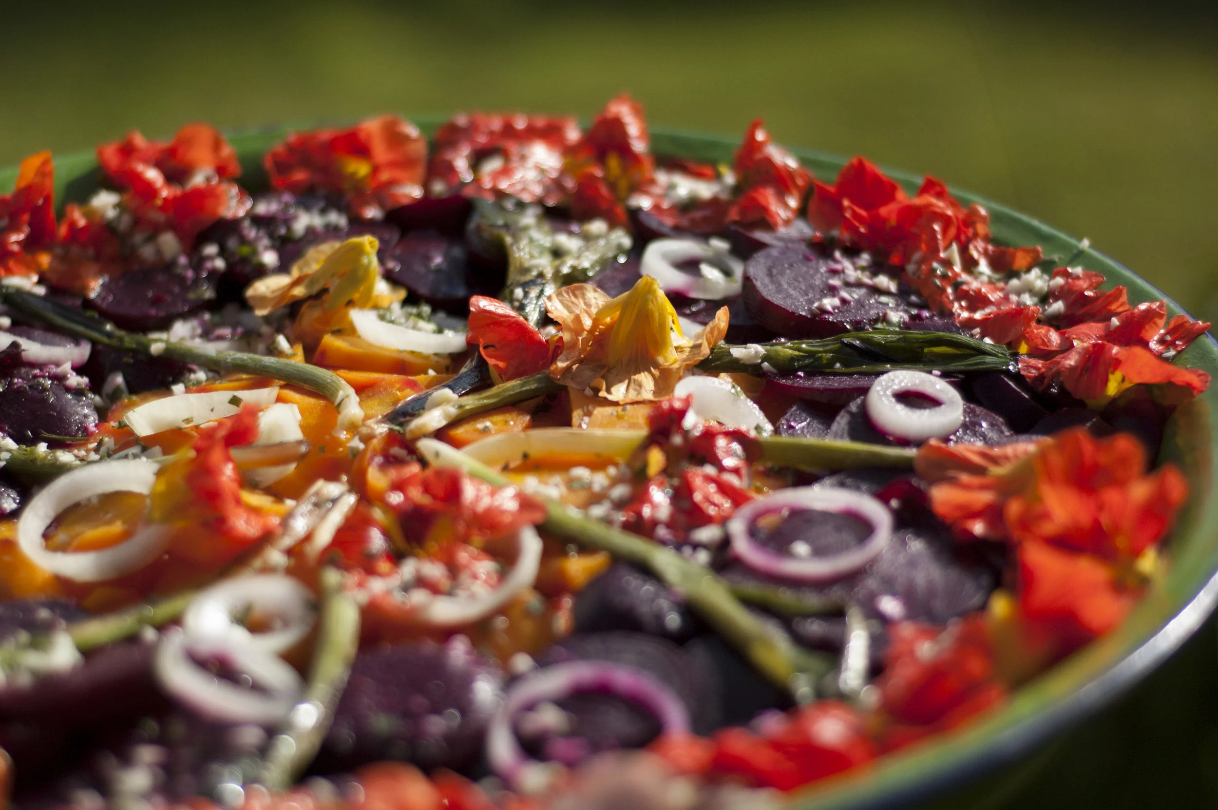 Delicious, home-cooked vegetarian dish at Seguin