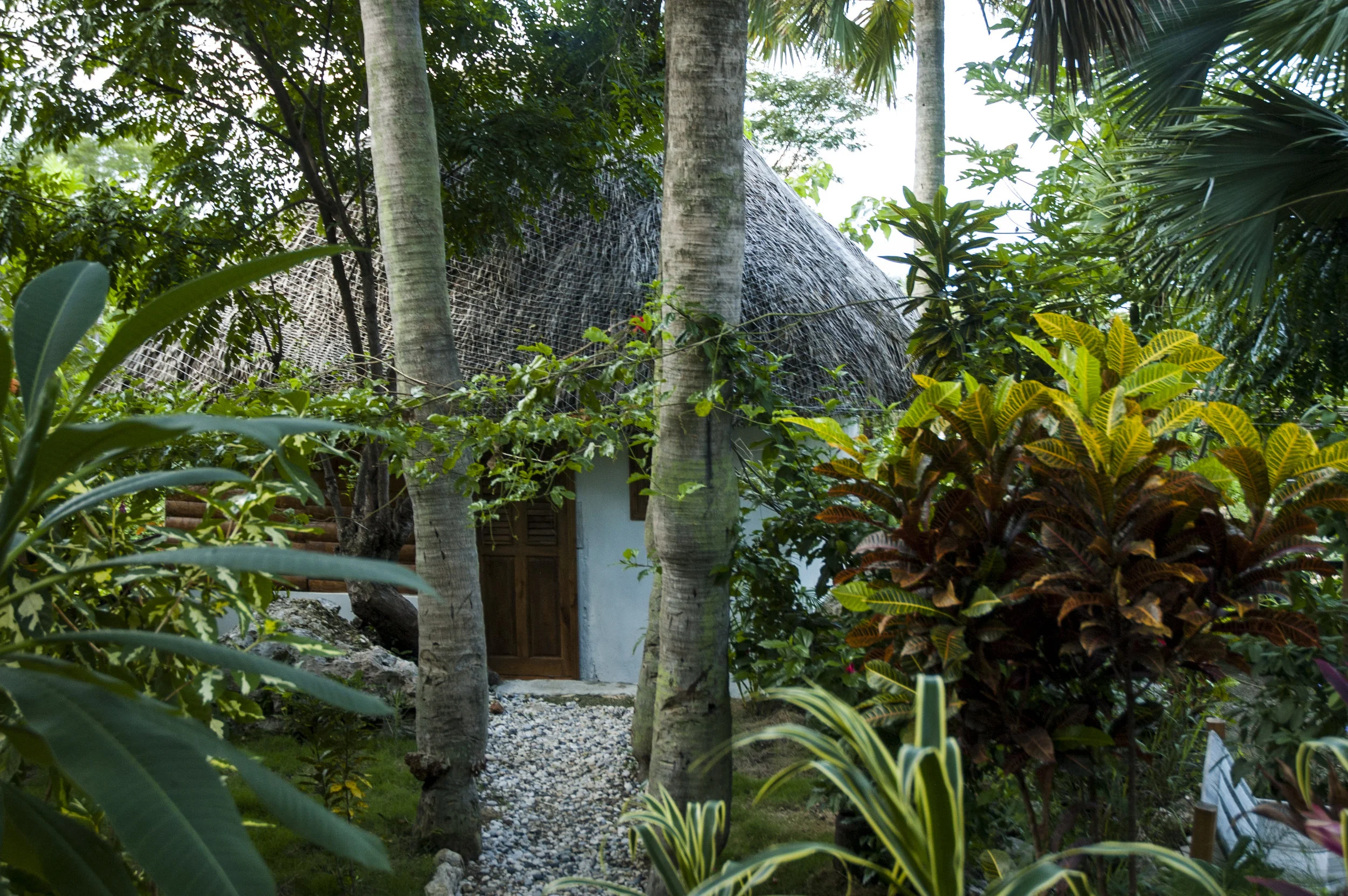 Cozy cabin at Haiti Surf Guesthouse