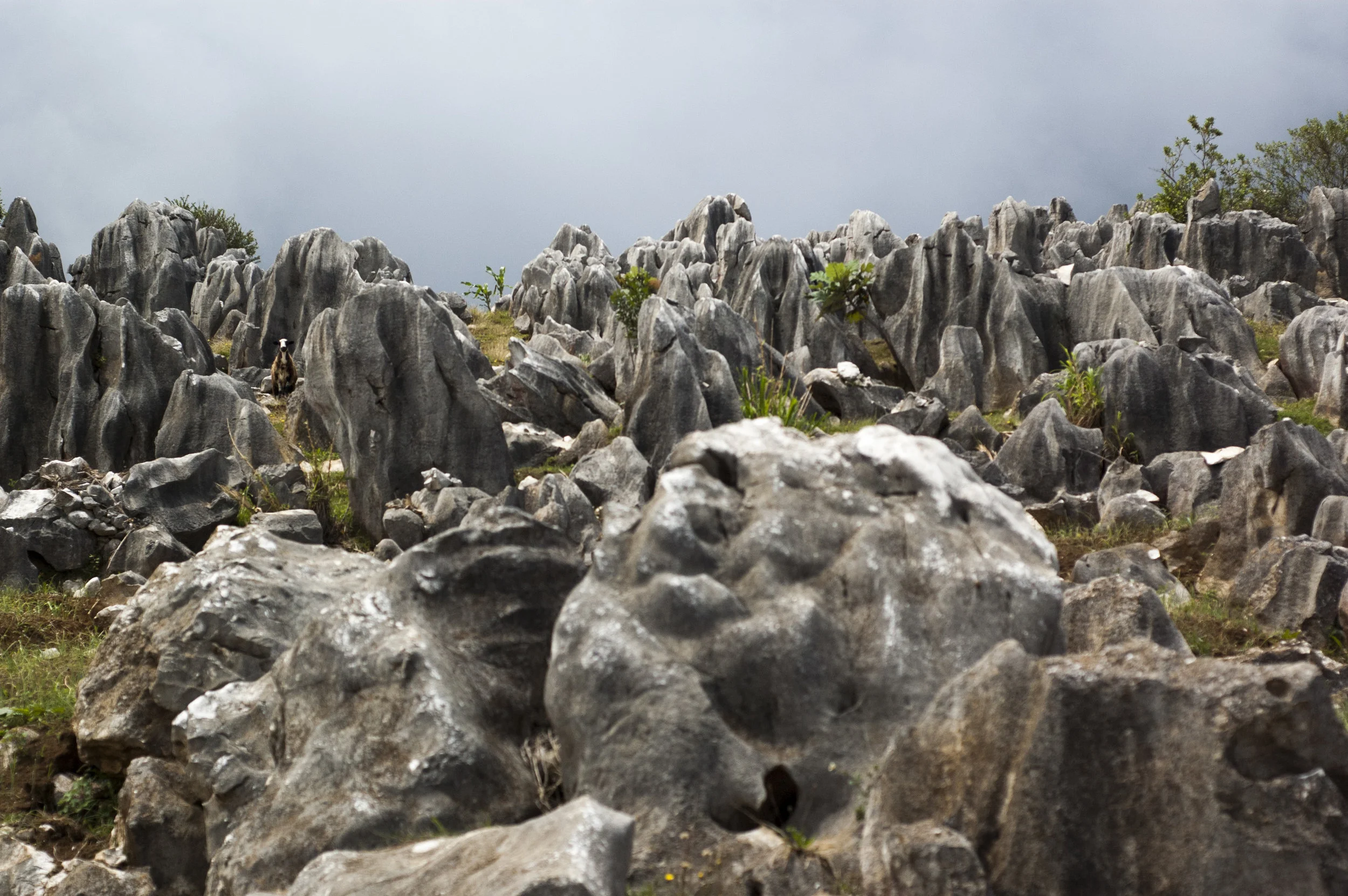 Rock formation caused by soil erosion