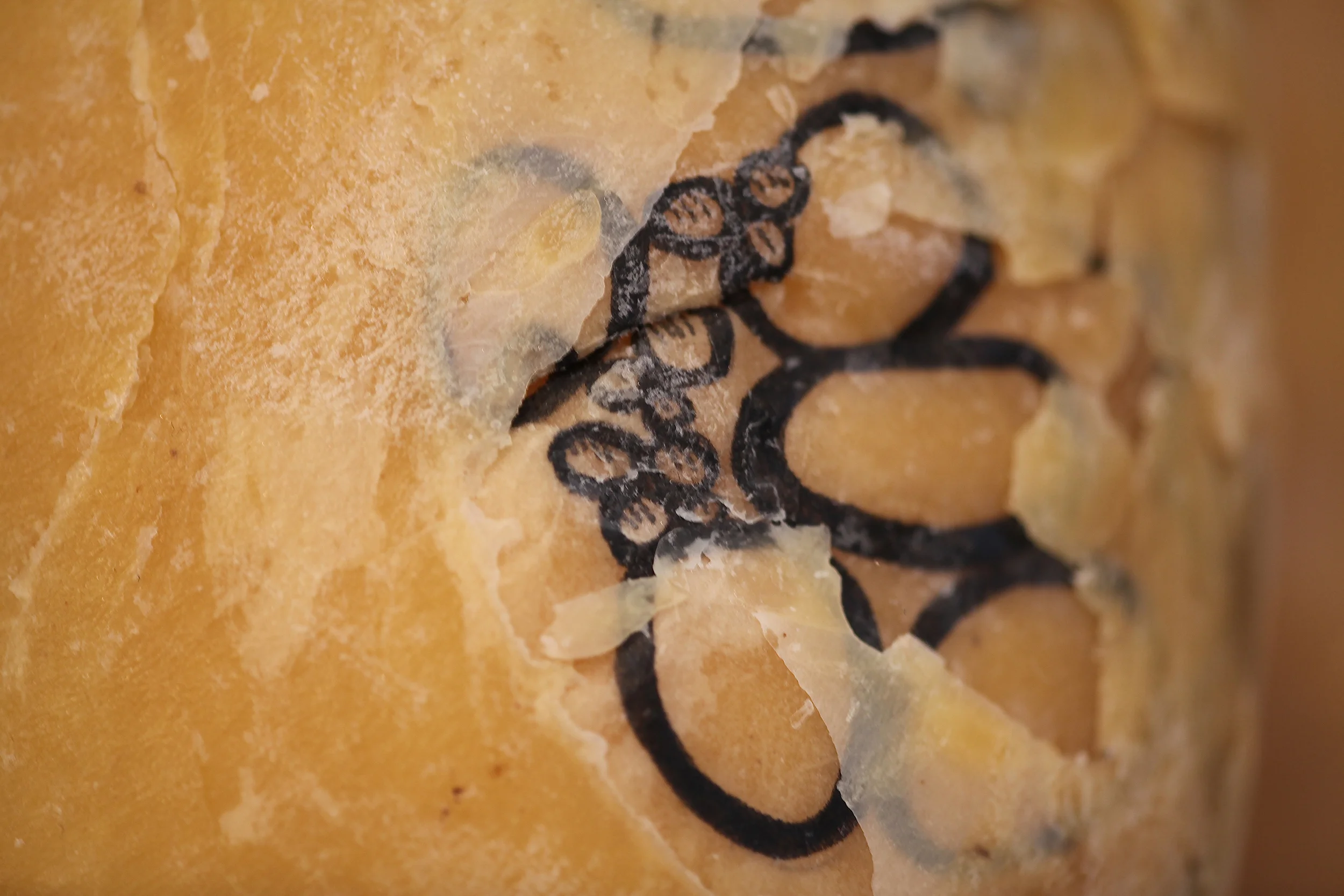 Brood Chamber, detail