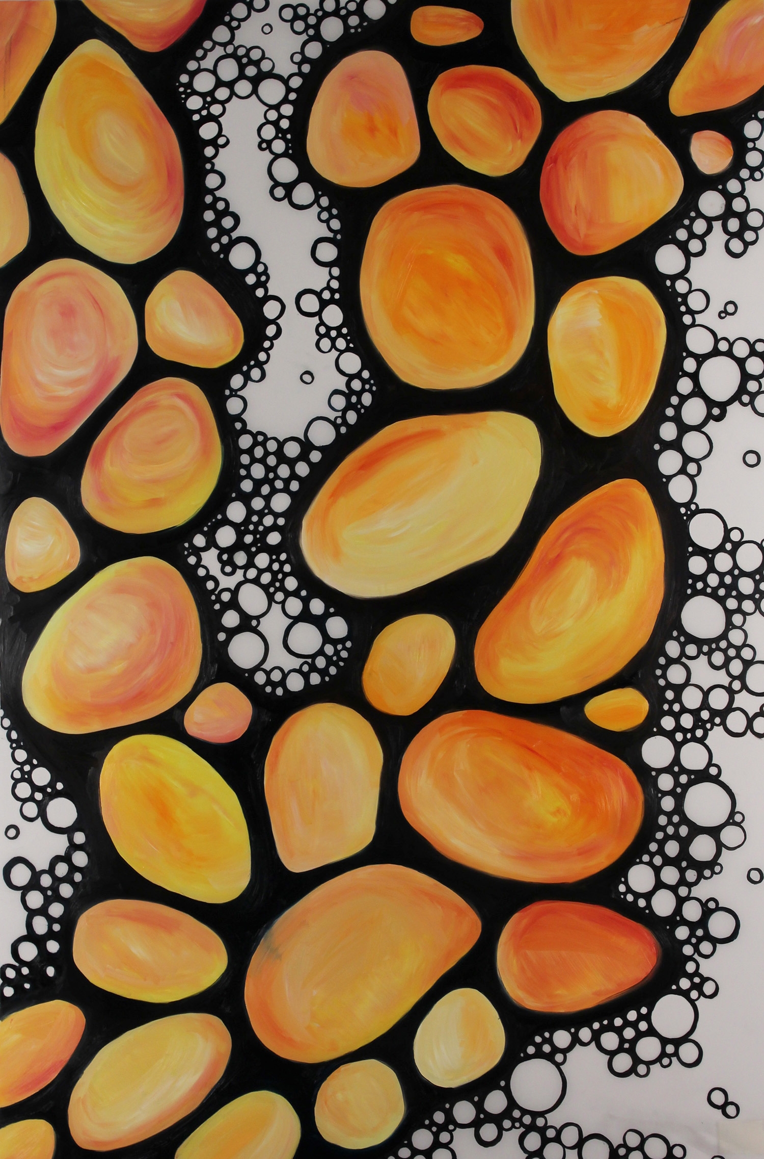 Cellular Debirs 1