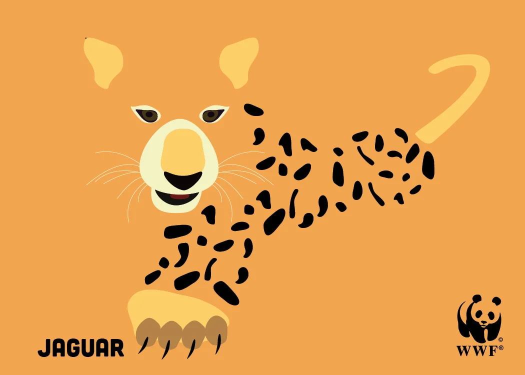 johnson_postcard_jaguar.jpg