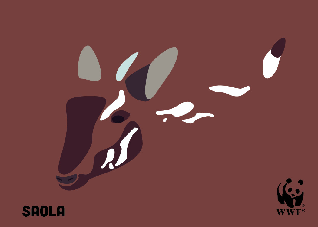 johnson_postcard_saola.jpg