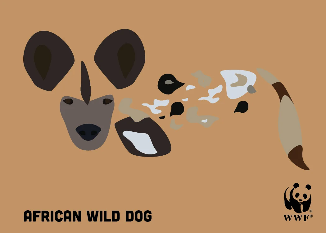 johnson_postcard_wilddog.jpg