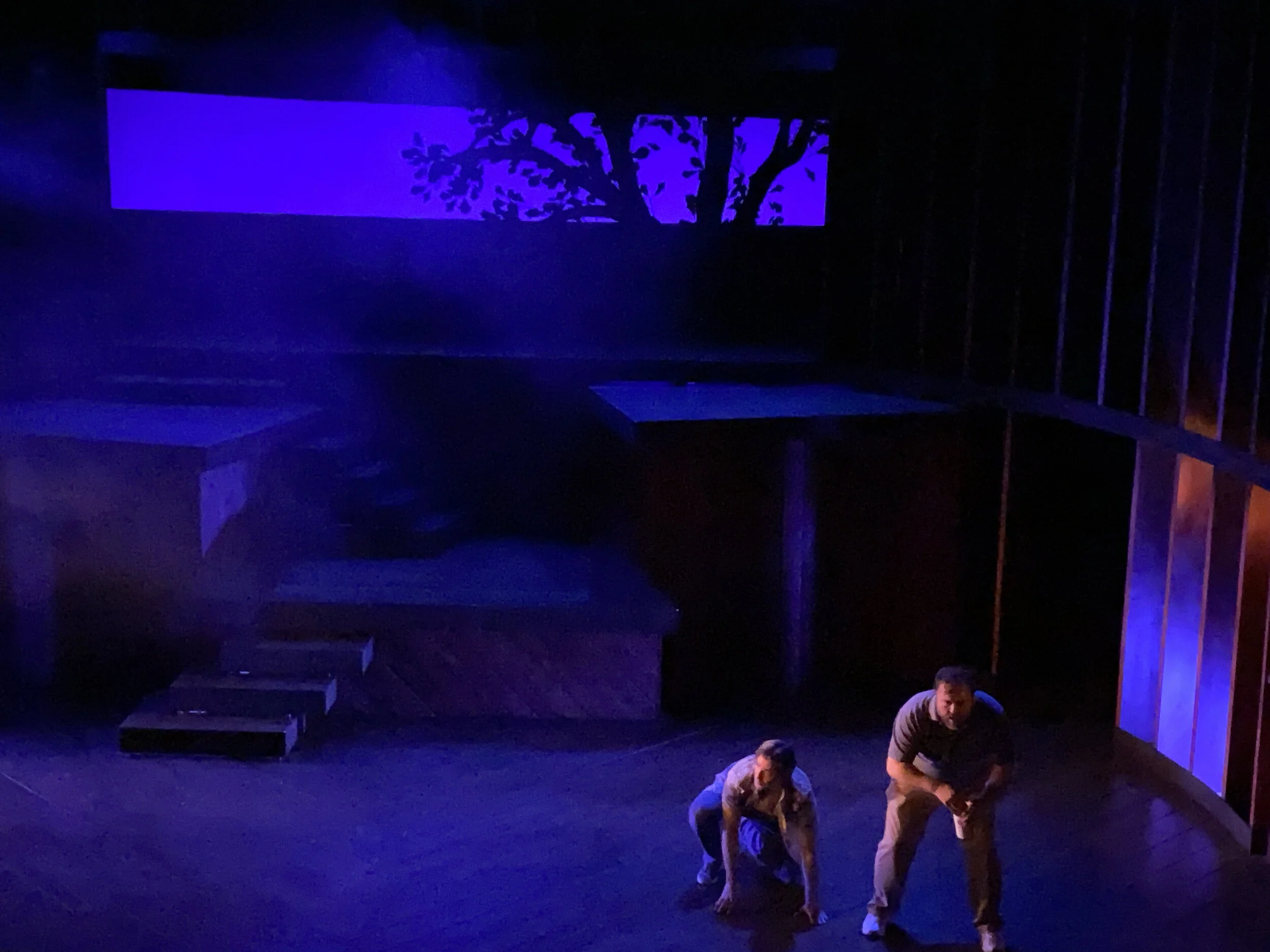 Sideways Boar Hunt2.0.jpg