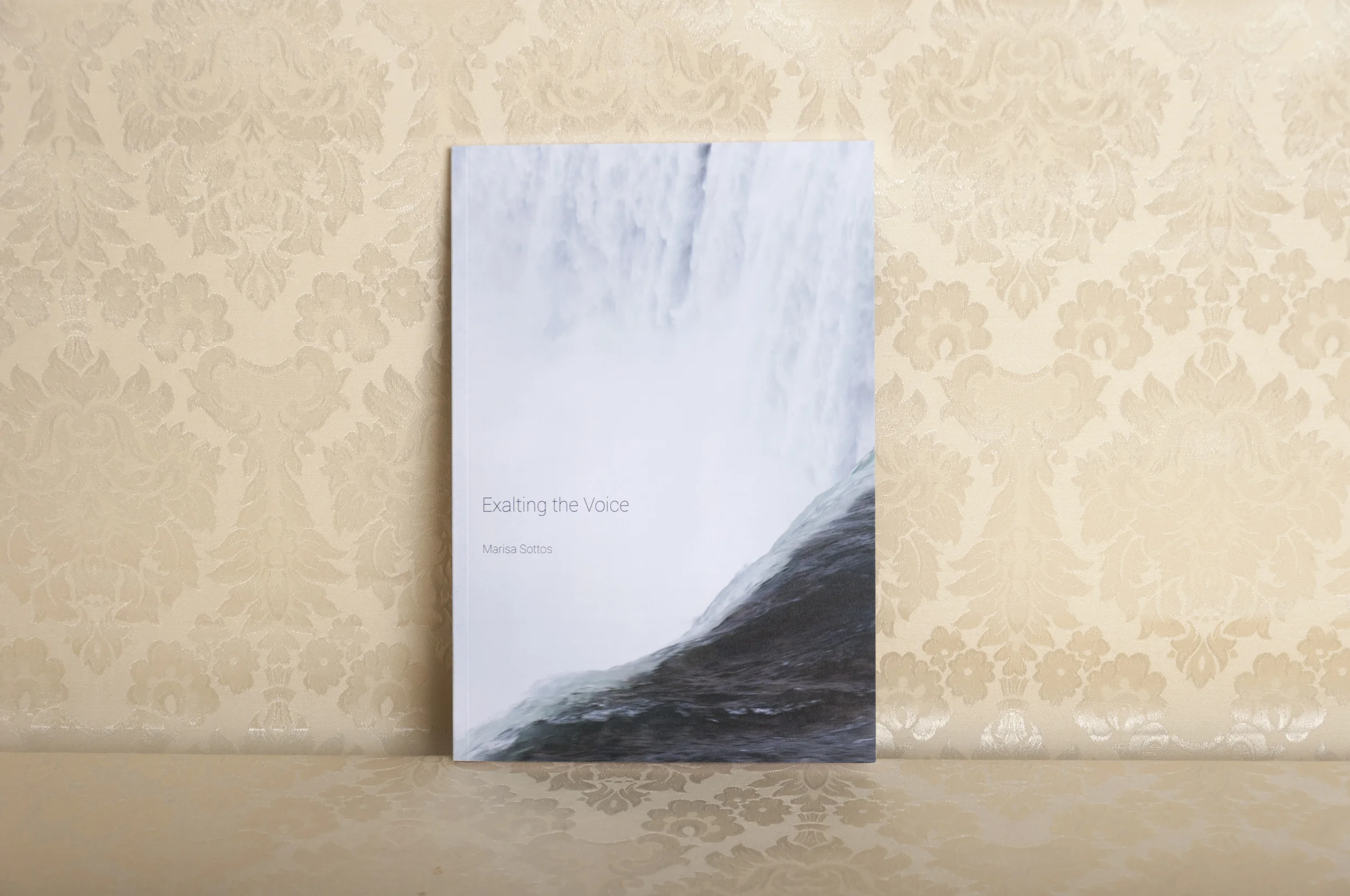 My International Center of Photography MFA Thesis Publication, 2015. Printed in an edition of 13 by Conveyor Arts. To view a copy check out the ICP Library
