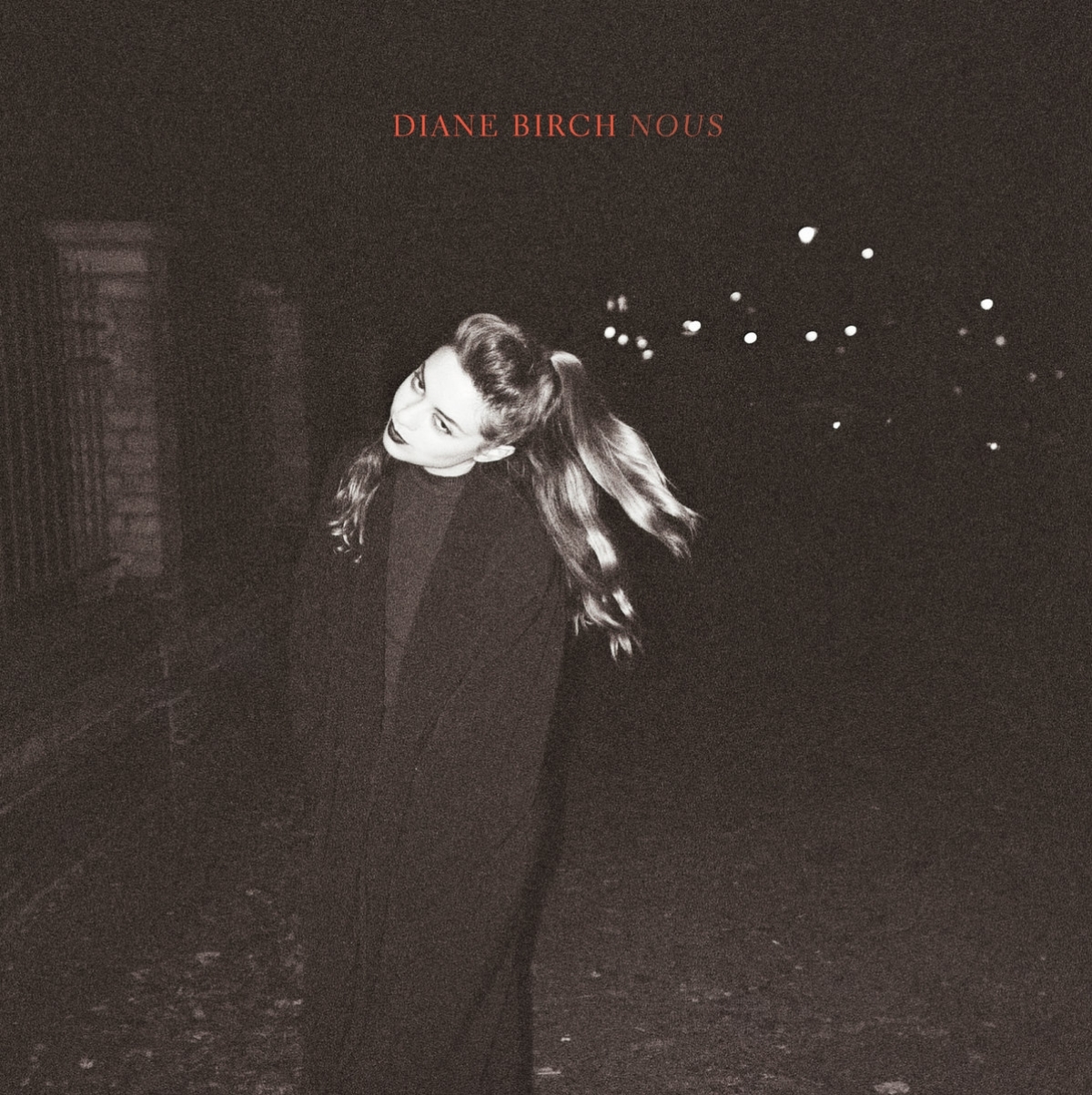 Nous - Diane Birch