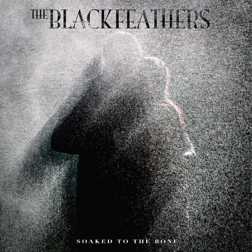 Soaked To The Bone - The Black Feathers