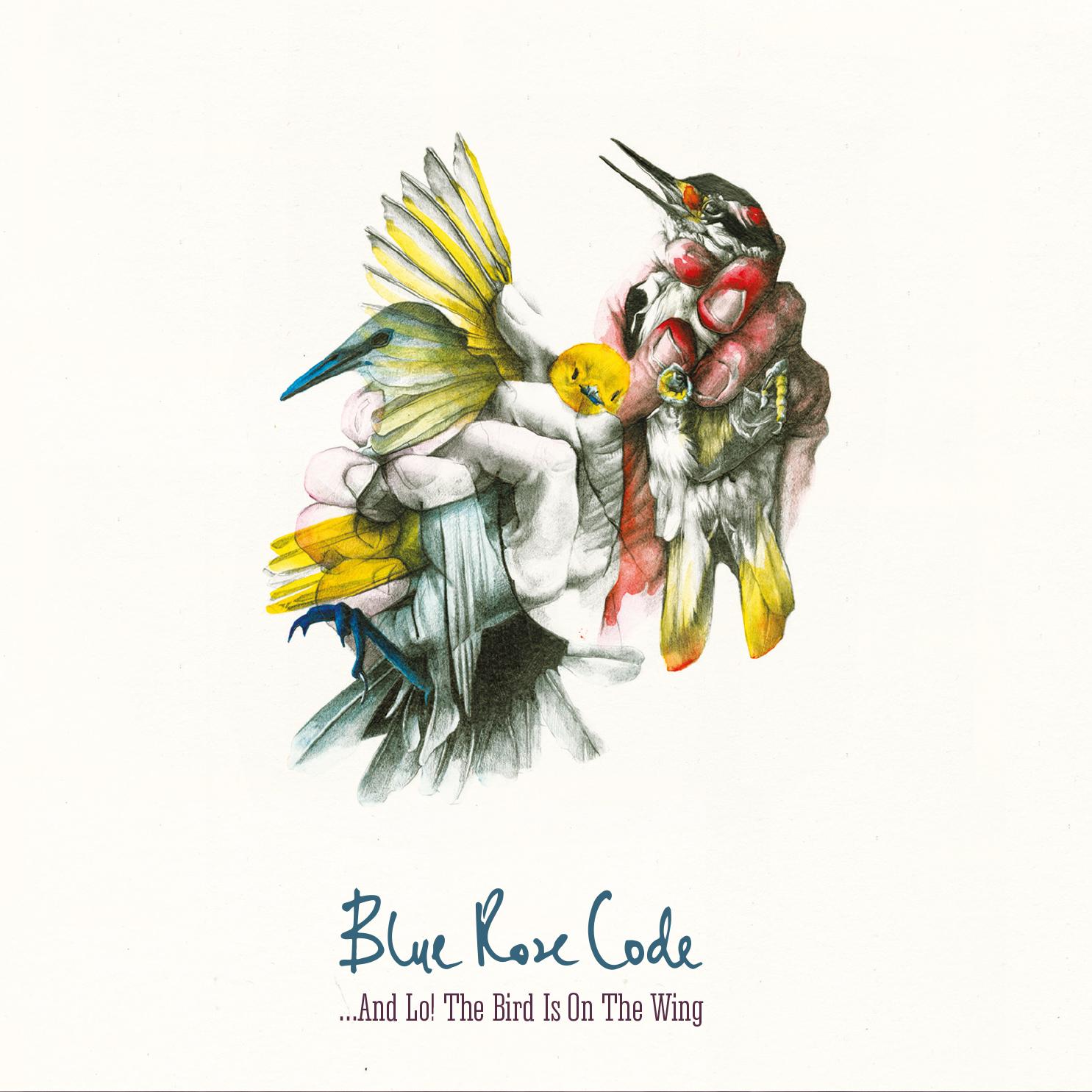 and Lo The Bird Is On The Wing - Blue Rose Code