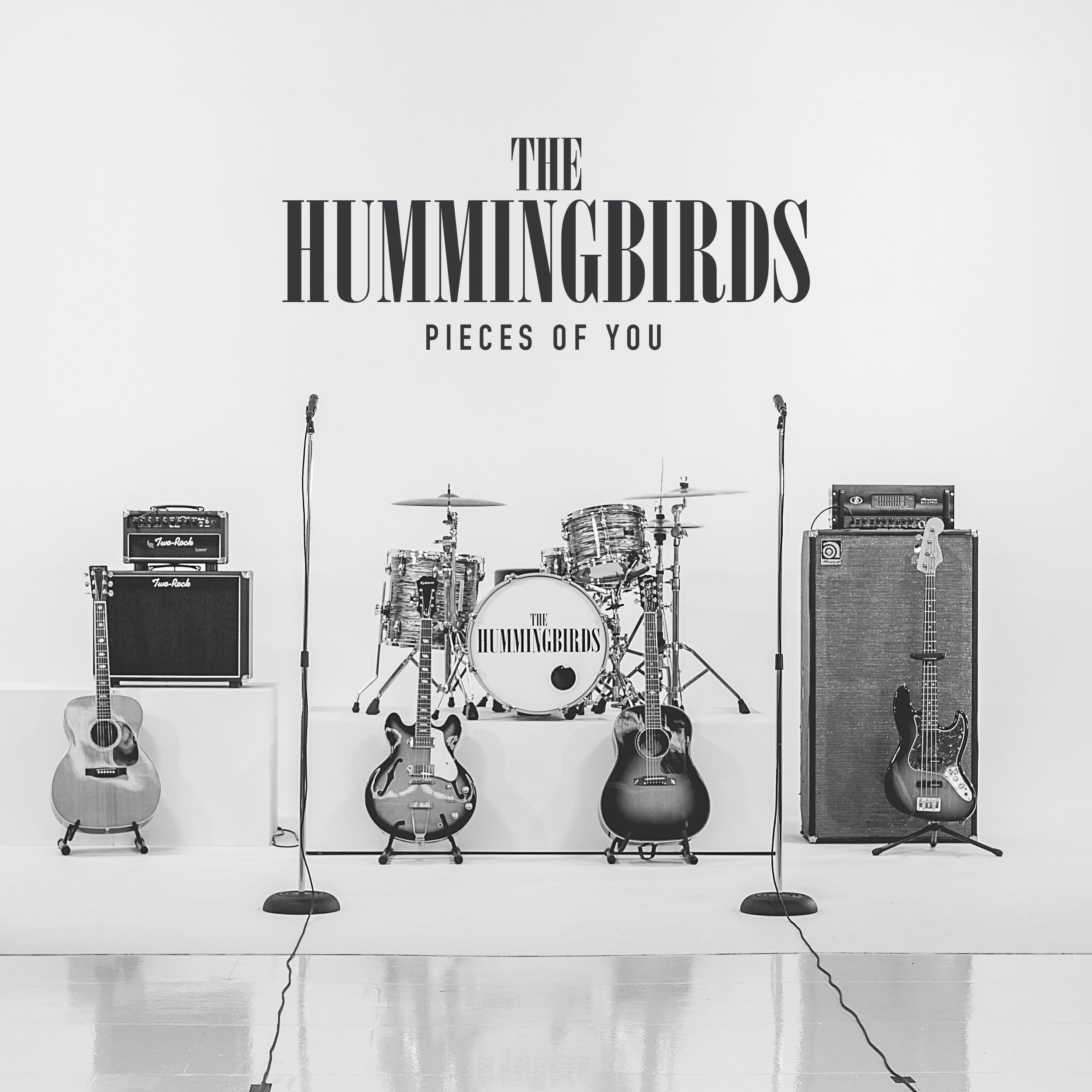 Hummingbirds - Pieces of You