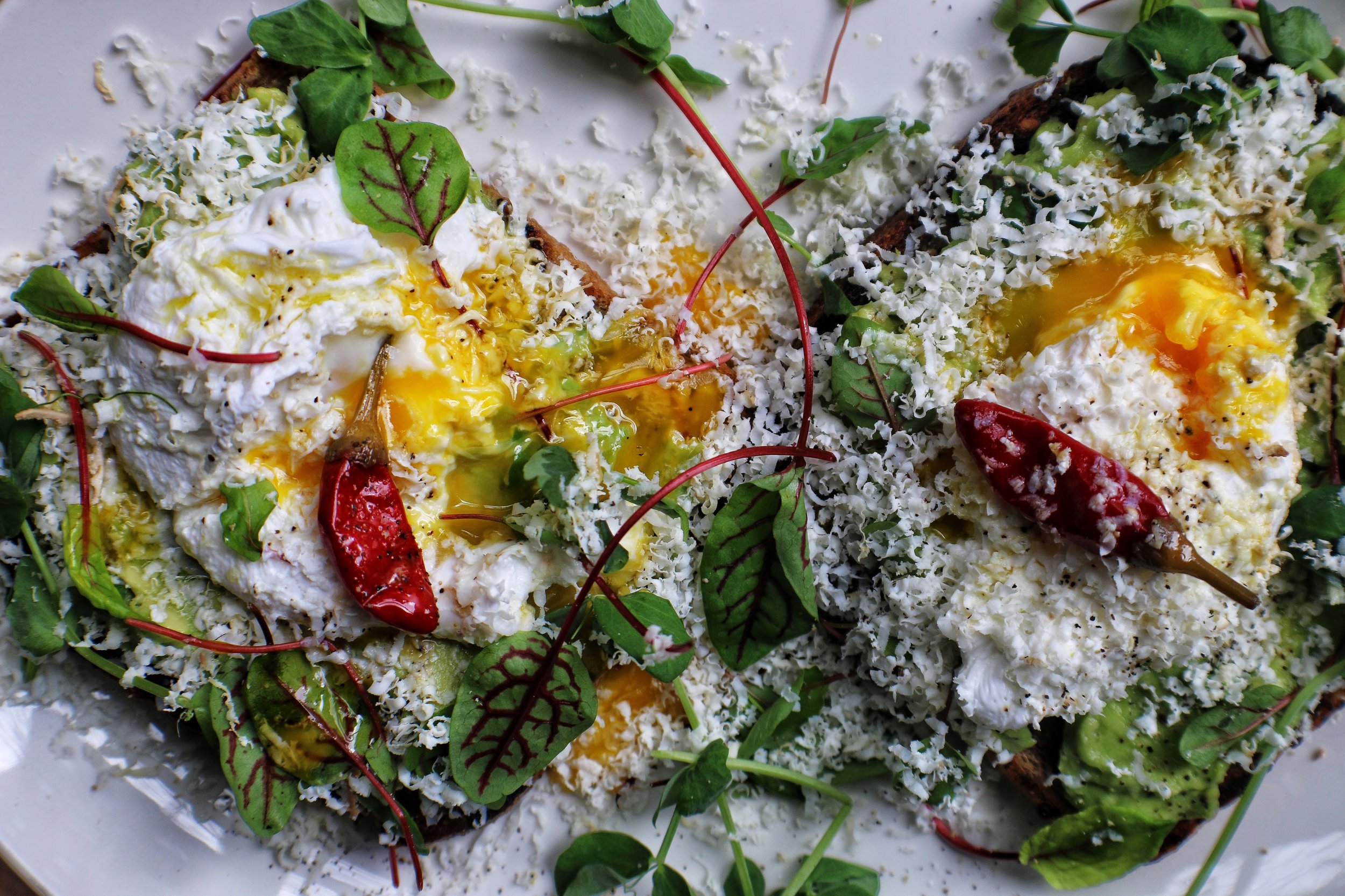  avocado toast with slow cooked eggs &amp; calabrian chiles 