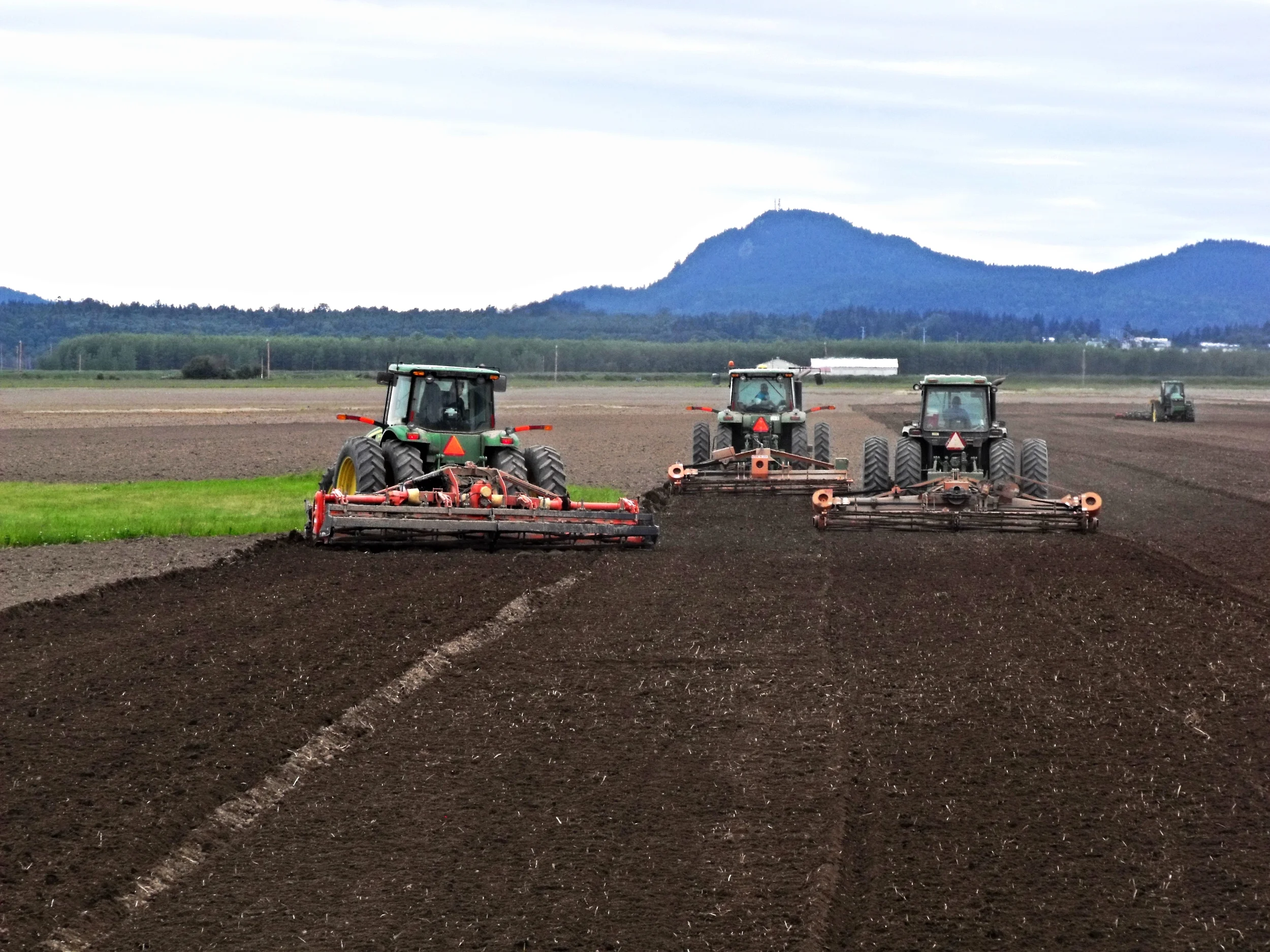 Potato Planting