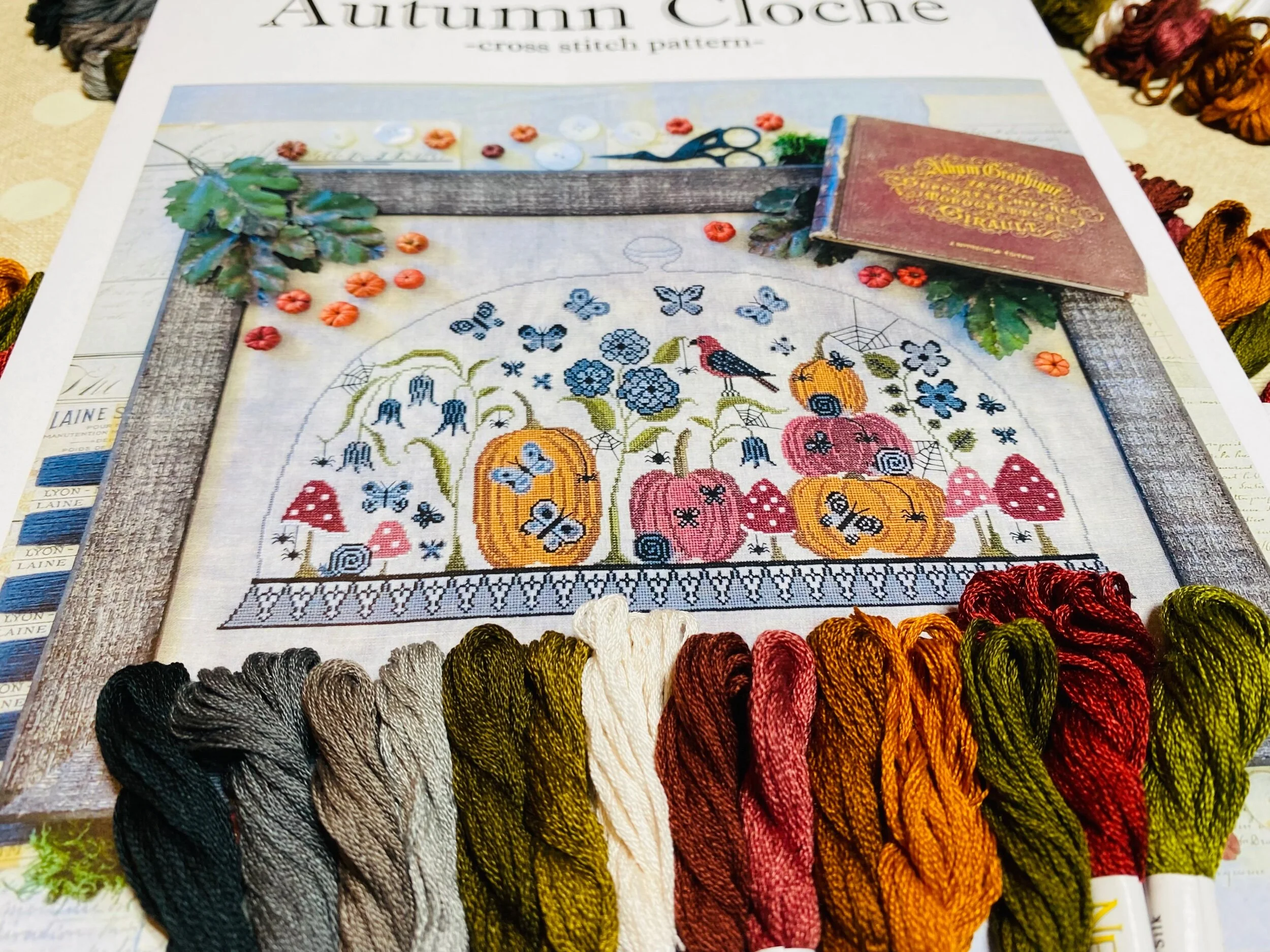 4EDA3306-4552-4D74-89C6-C72C35DA9984